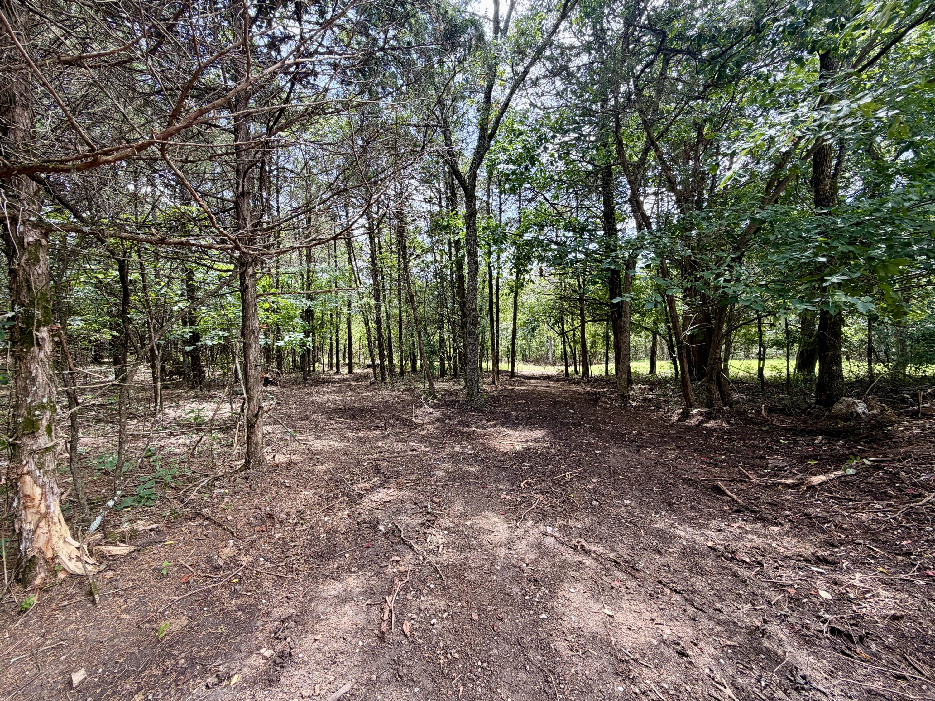 330 Hendrickson School Road Property Photo 25