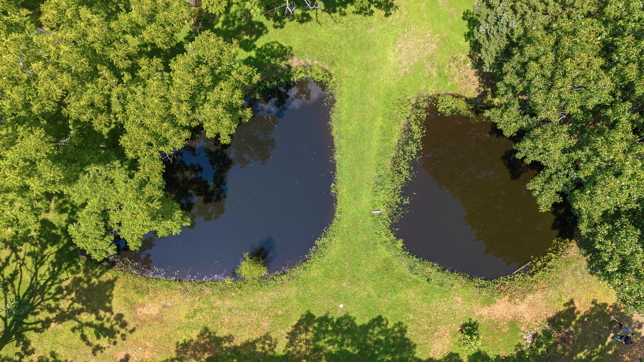 9906 1162 Property Photo 56
