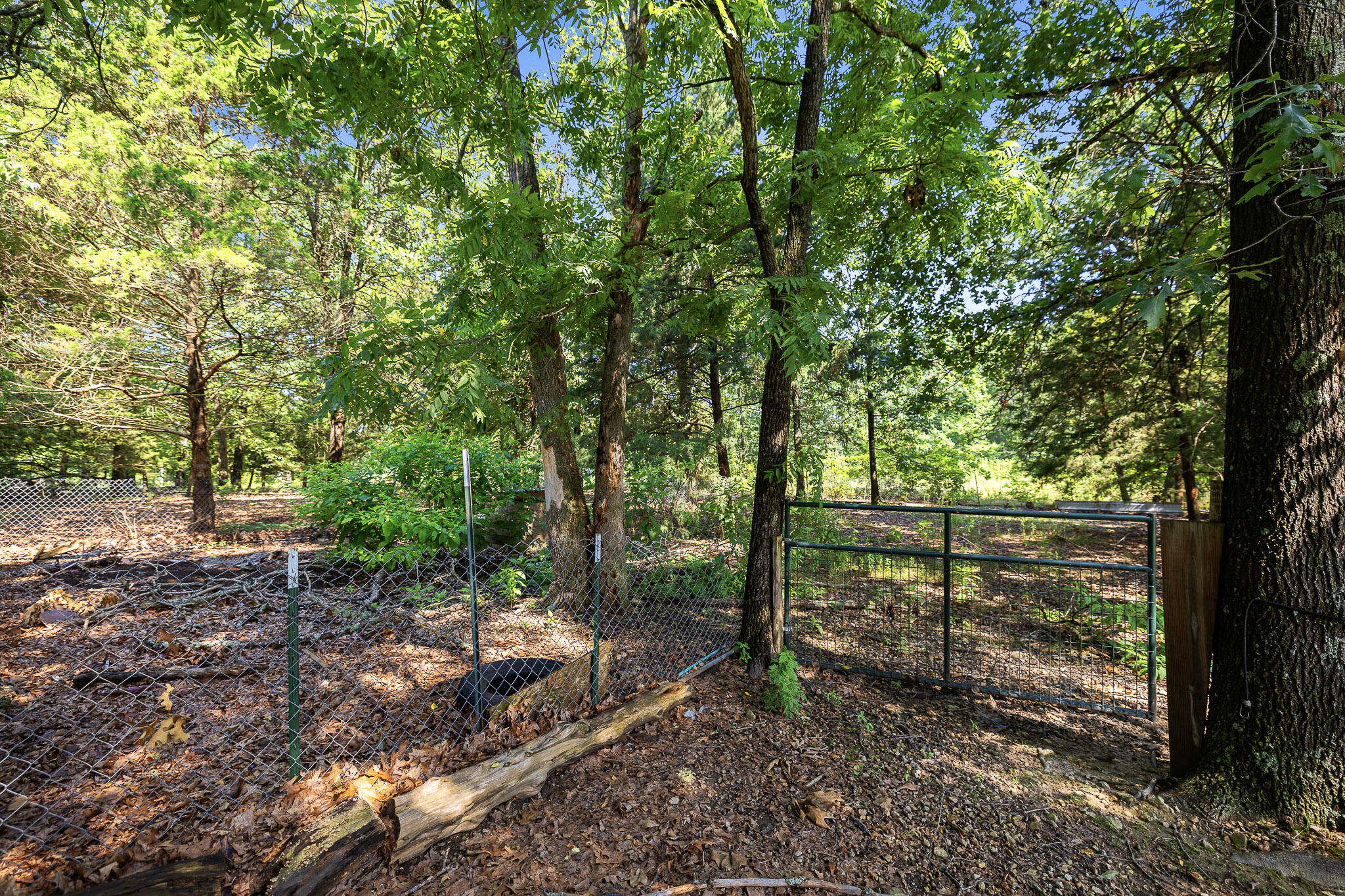 9906 1162 Property Photo 77