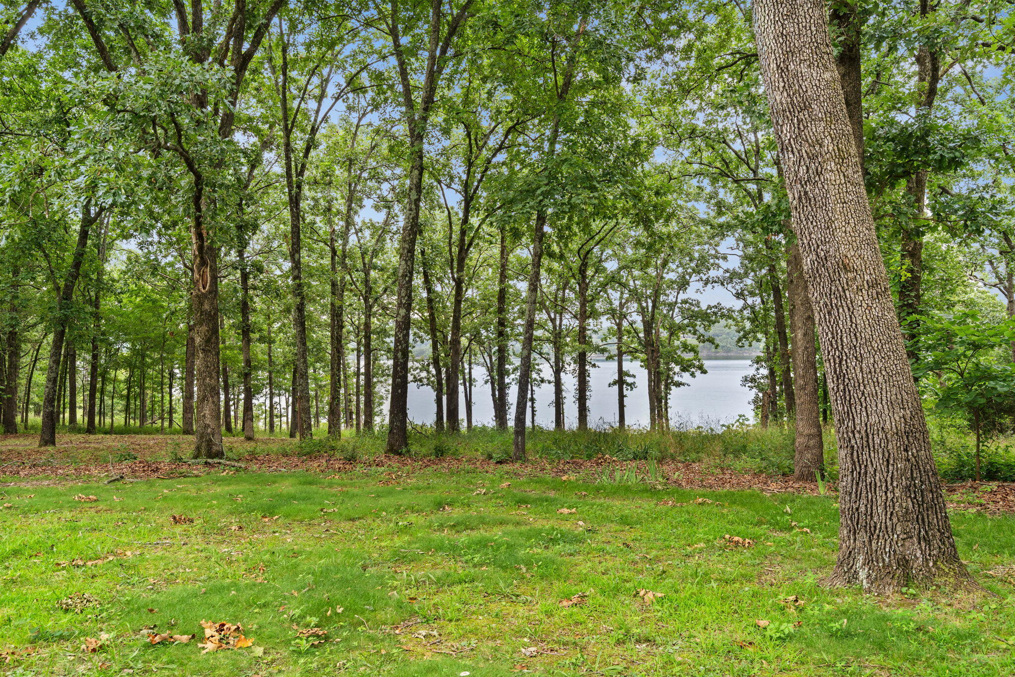 355 Tulip Road Property Photo 9