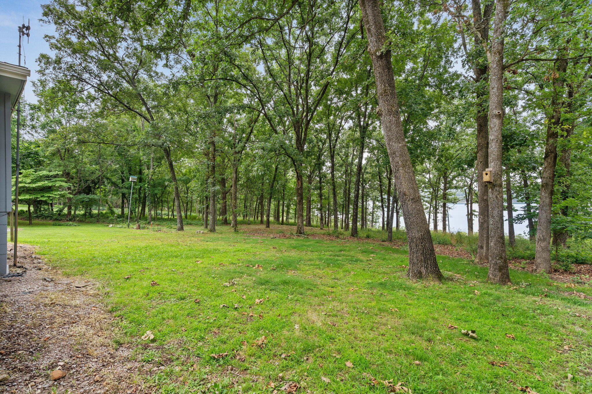 355 Tulip Road Property Photo 11