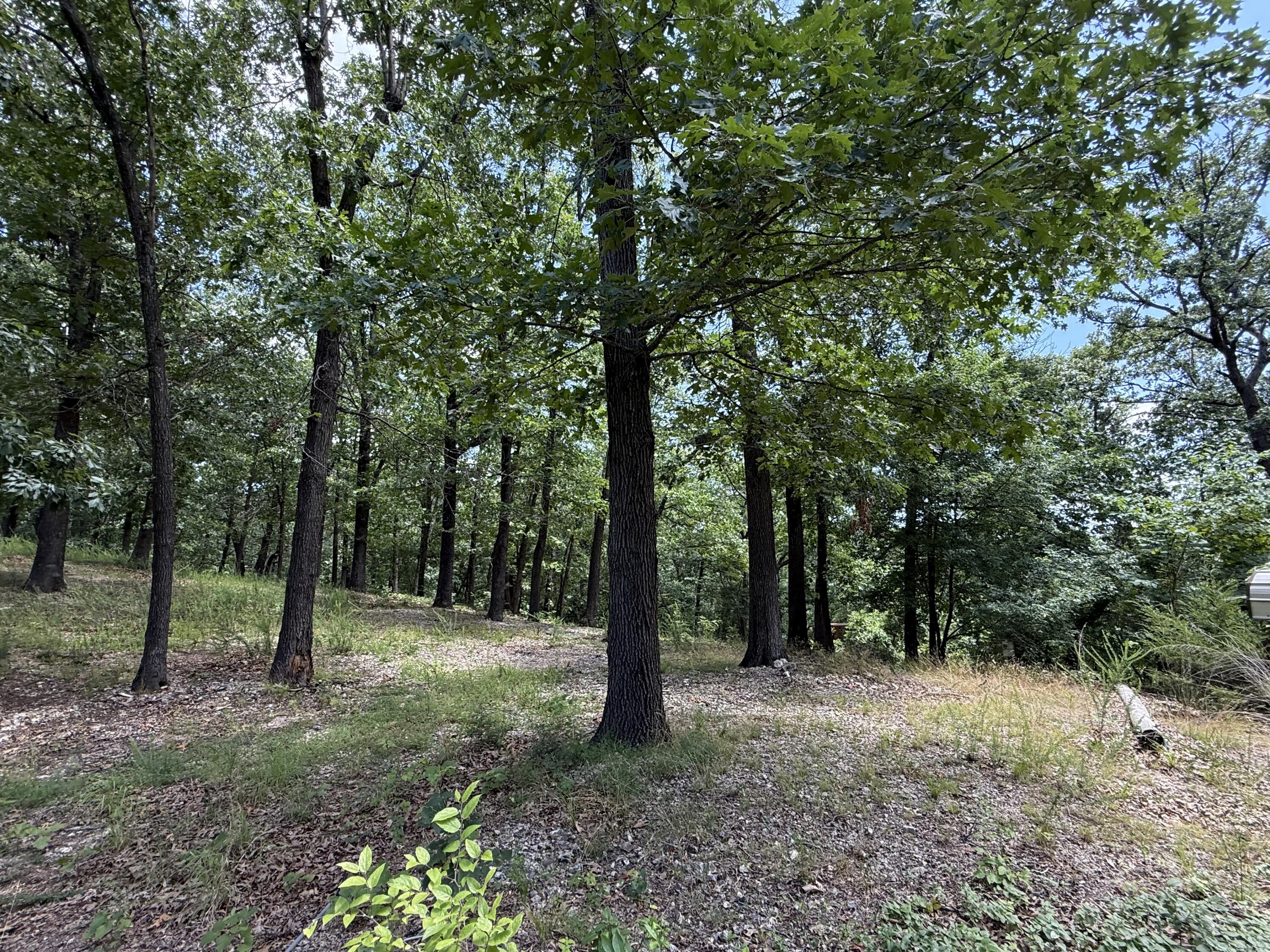24 Little Fox Lane Property Photo 8