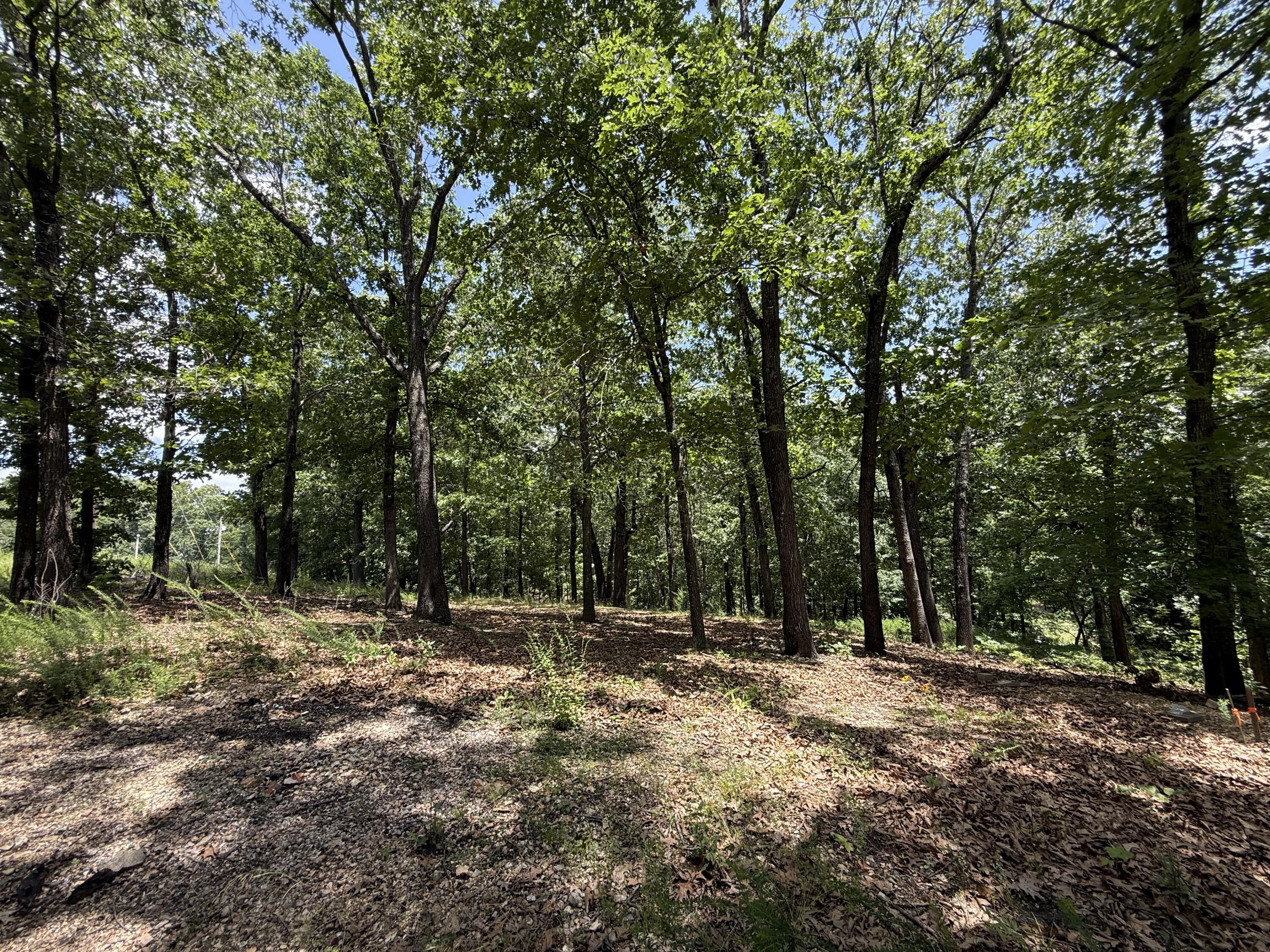 24 Little Fox Lane Property Photo 9