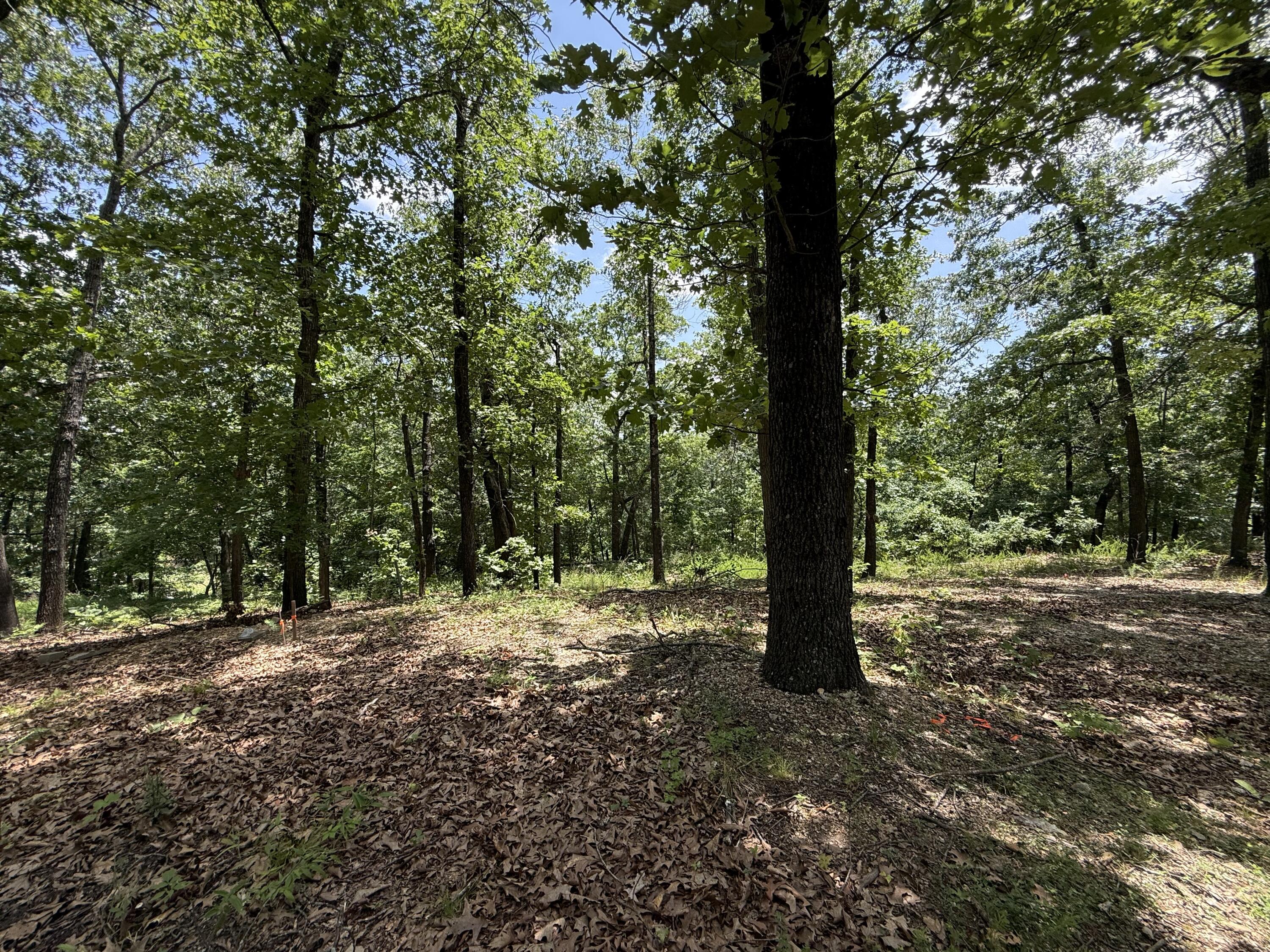24 Little Fox Lane Property Photo 10
