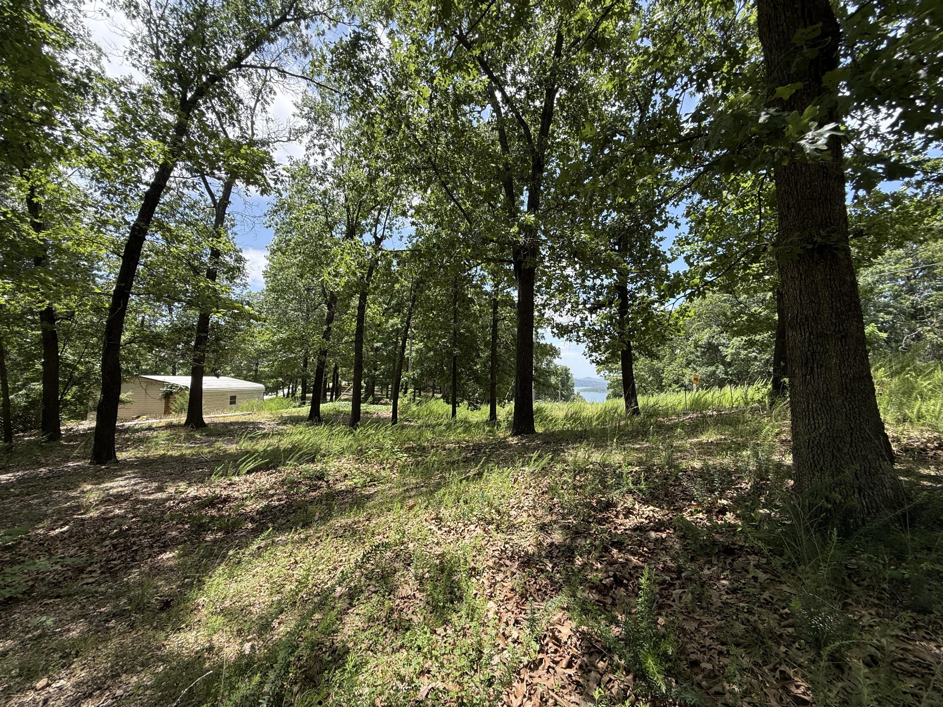 24 Little Fox Lane Property Photo 11
