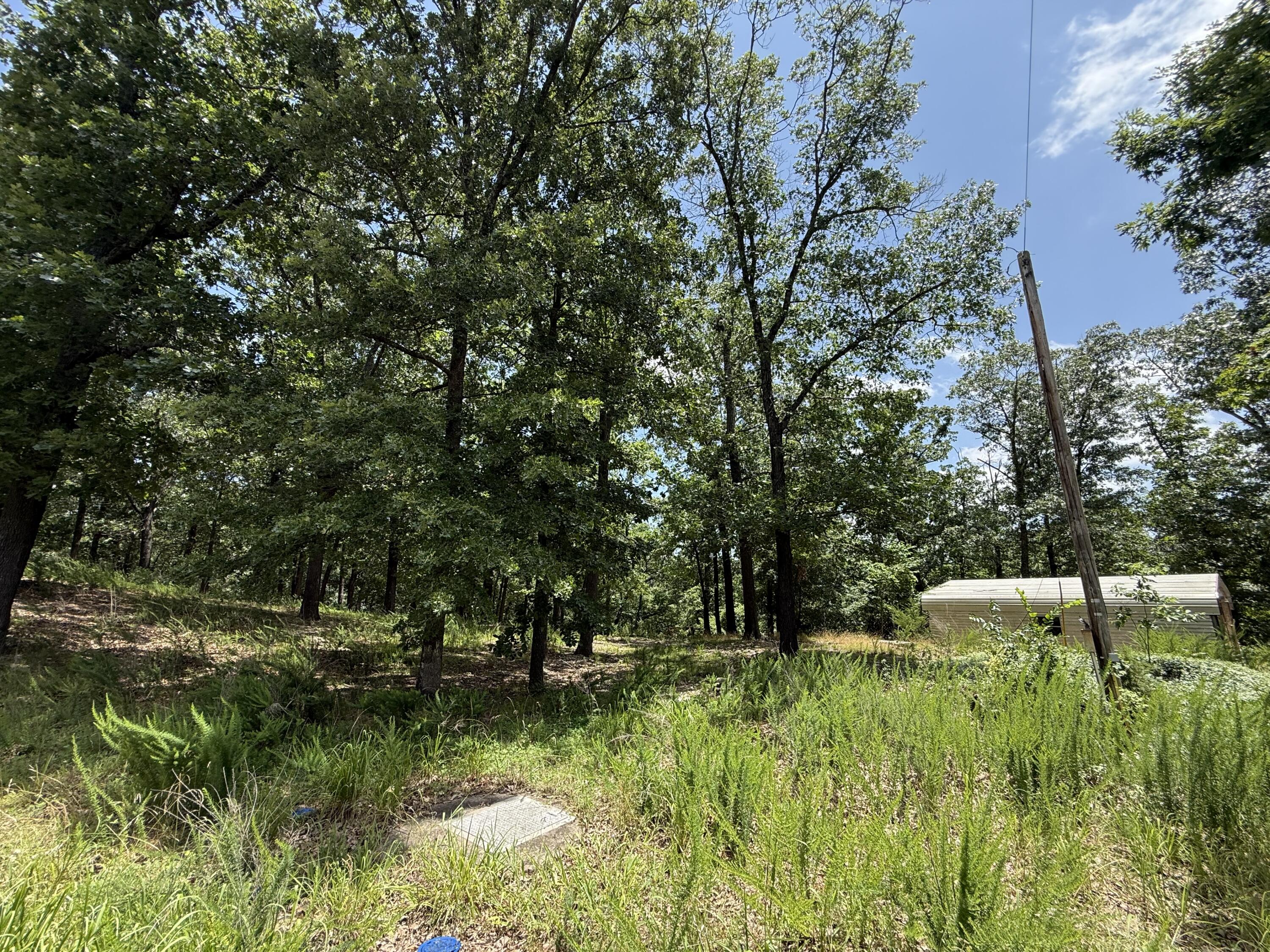 24 Little Fox Lane Property Photo 12