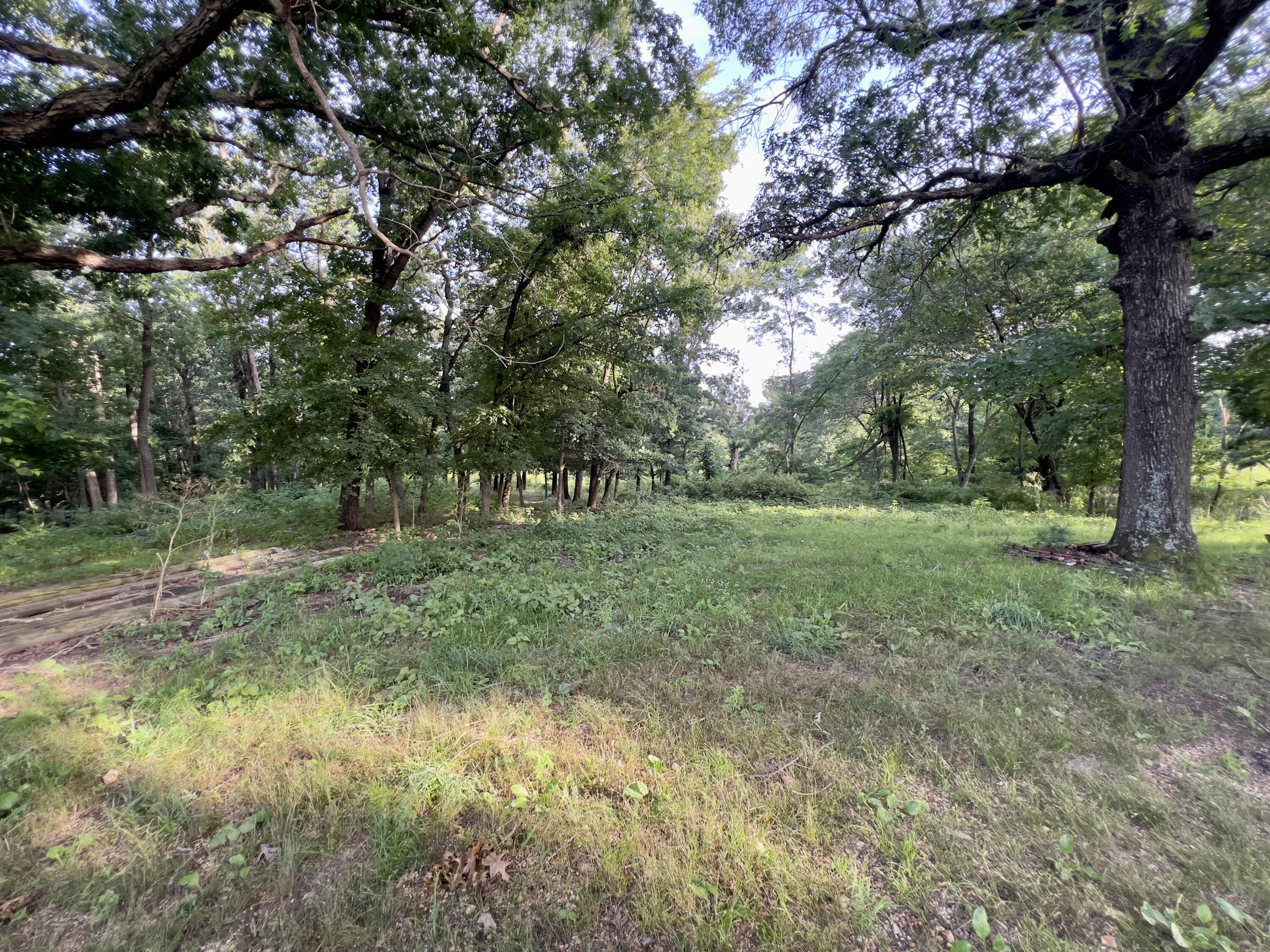 44 Thrasher Lane Property Photo 10