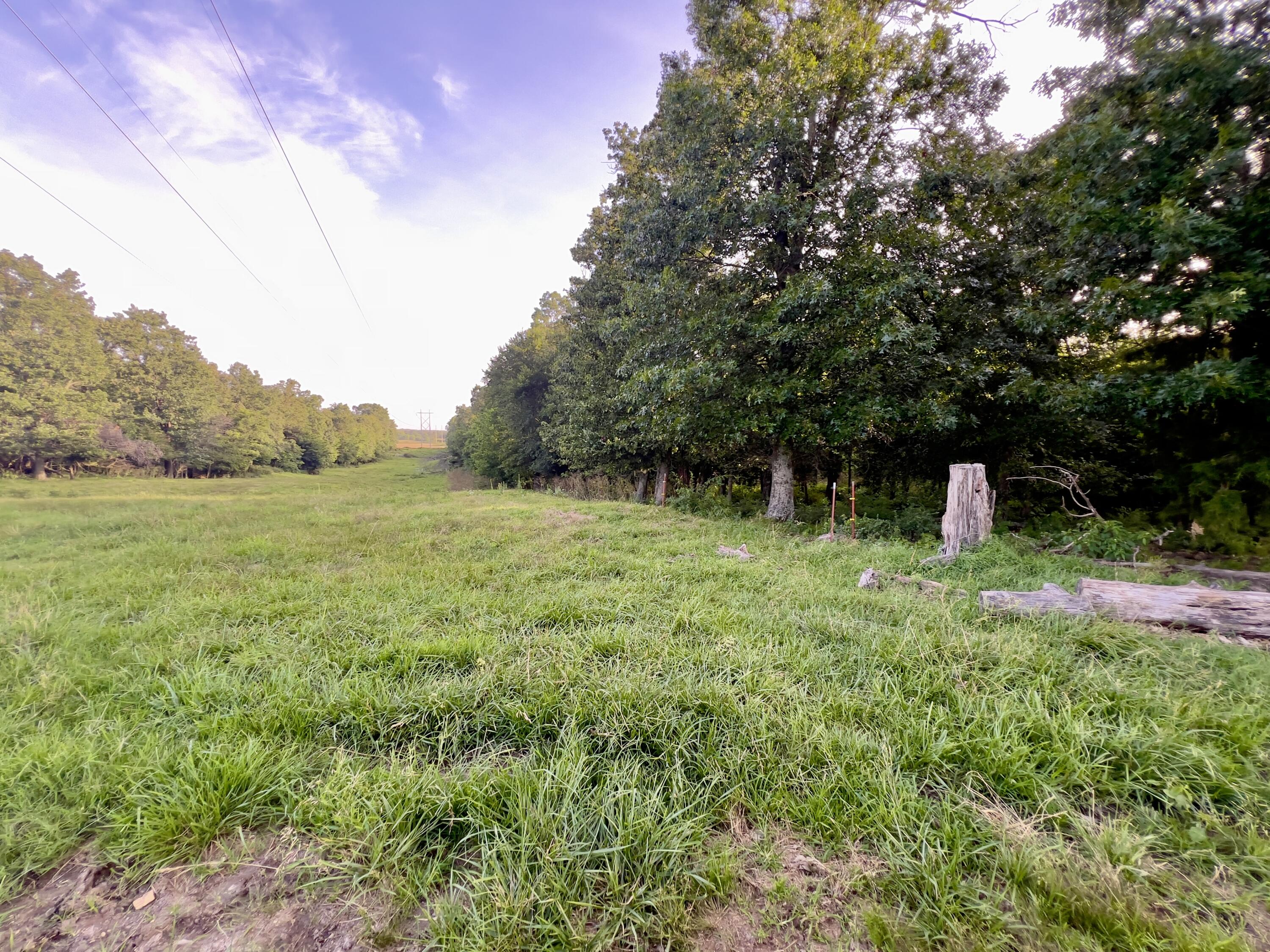 44 Thrasher Lane Property Photo 14