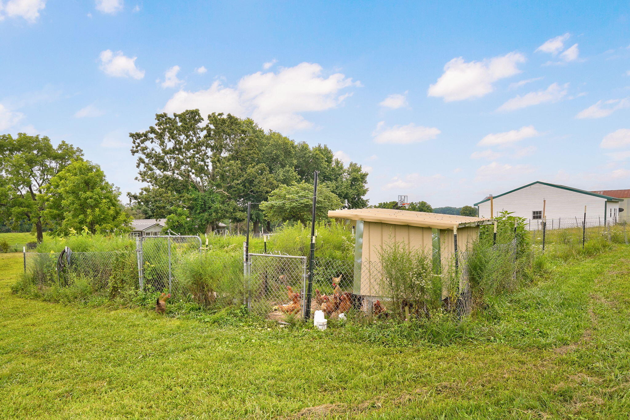 1319 Mockingbird Road Property Photo 58