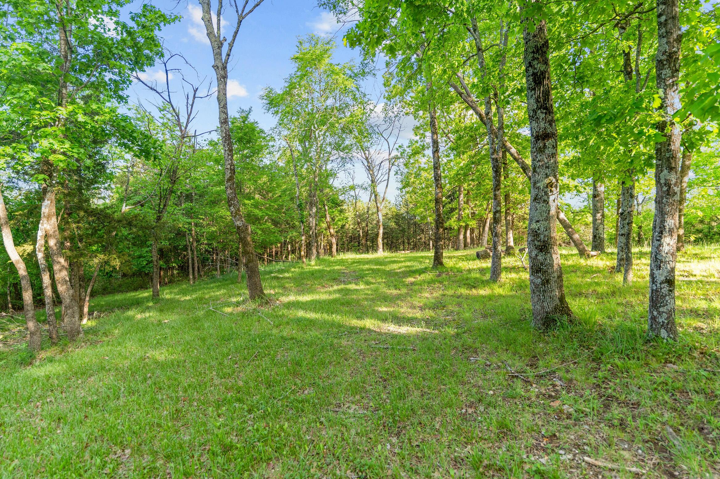 000 El Monte - Lot 2 Property Photo 7