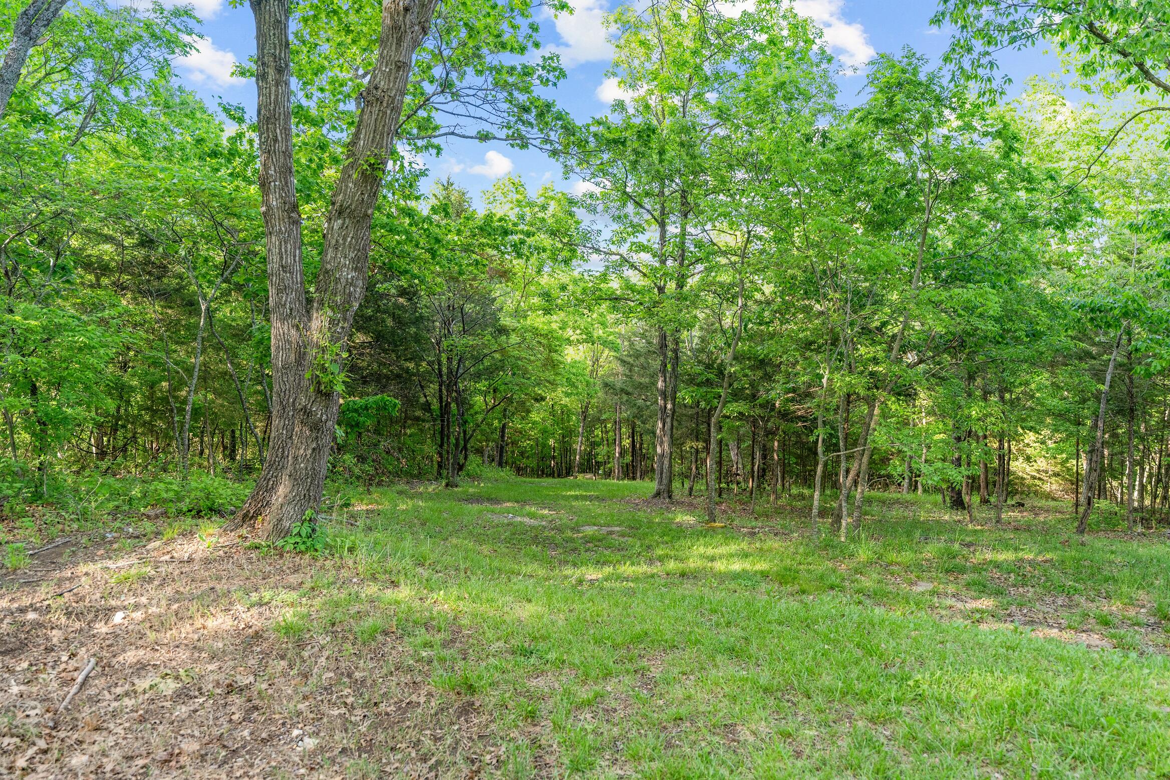000 El Monte - Lot 2 Property Photo 8
