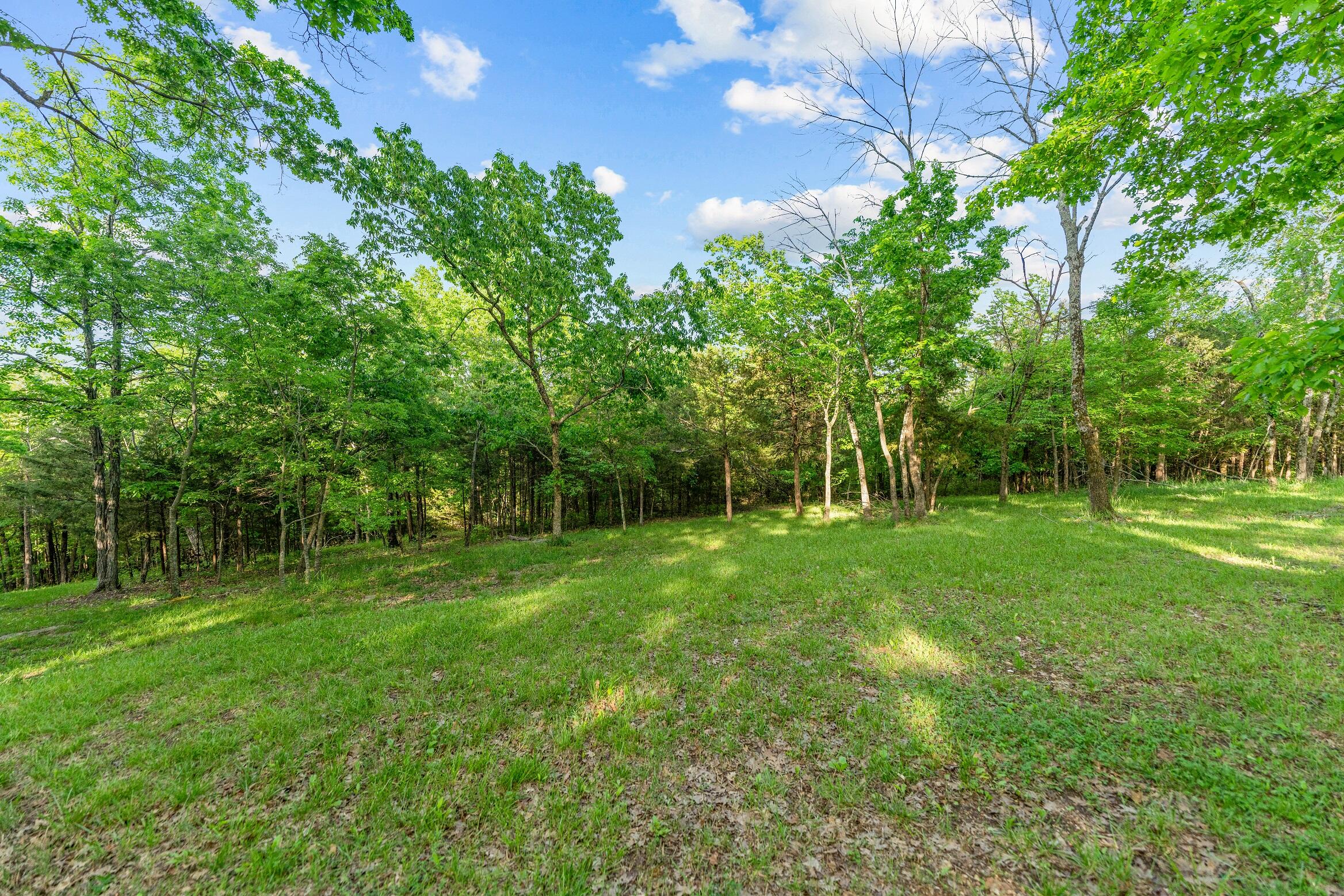 000 El Monte - Lot 2 Property Photo 9