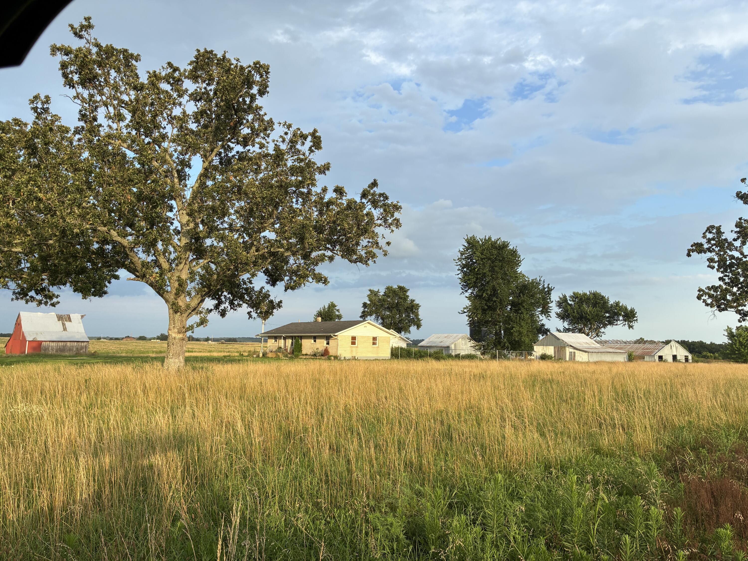 24896 State Highway 38 Property Photo 3