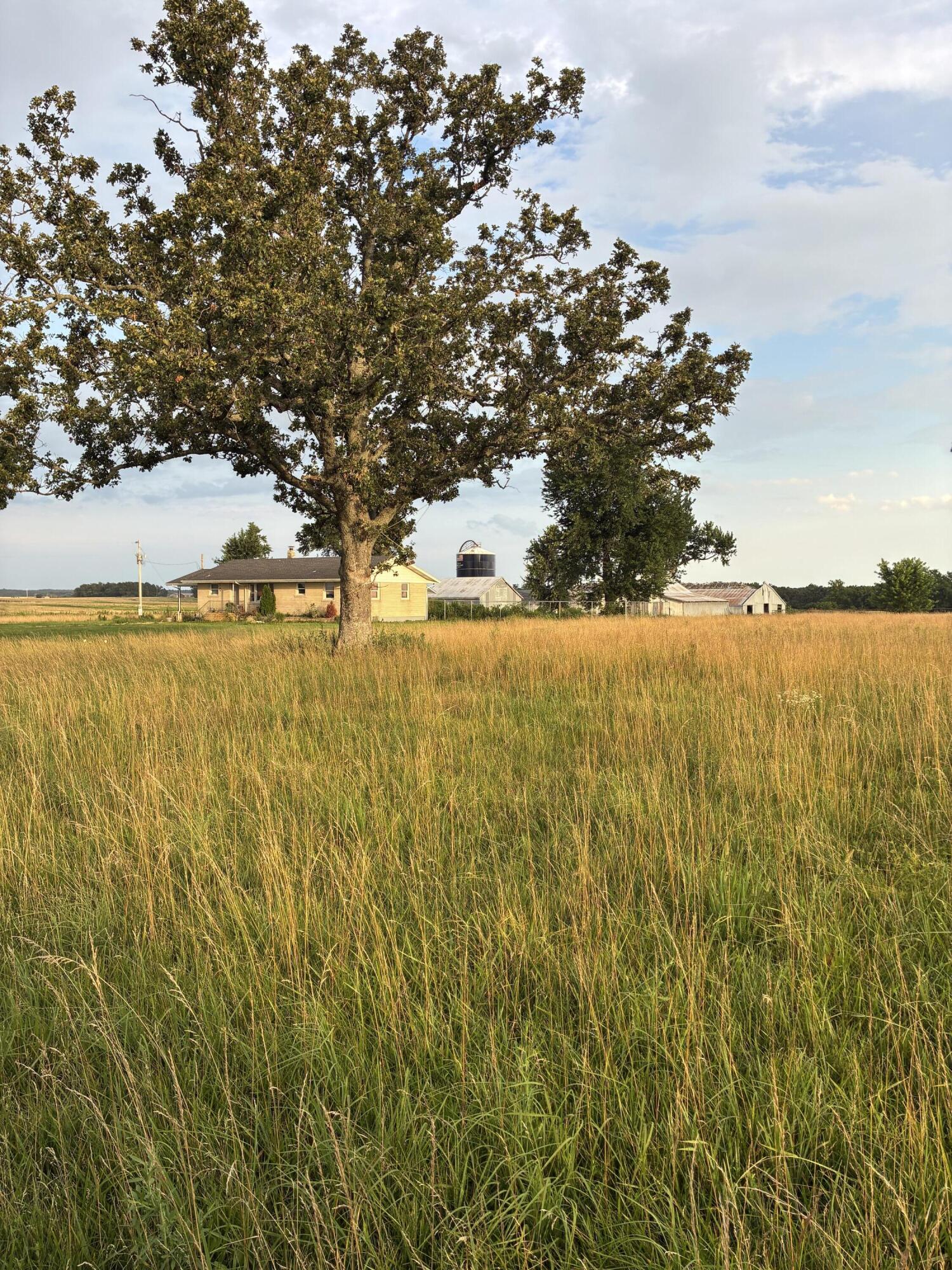 24896 State Highway 38 Property Photo 6