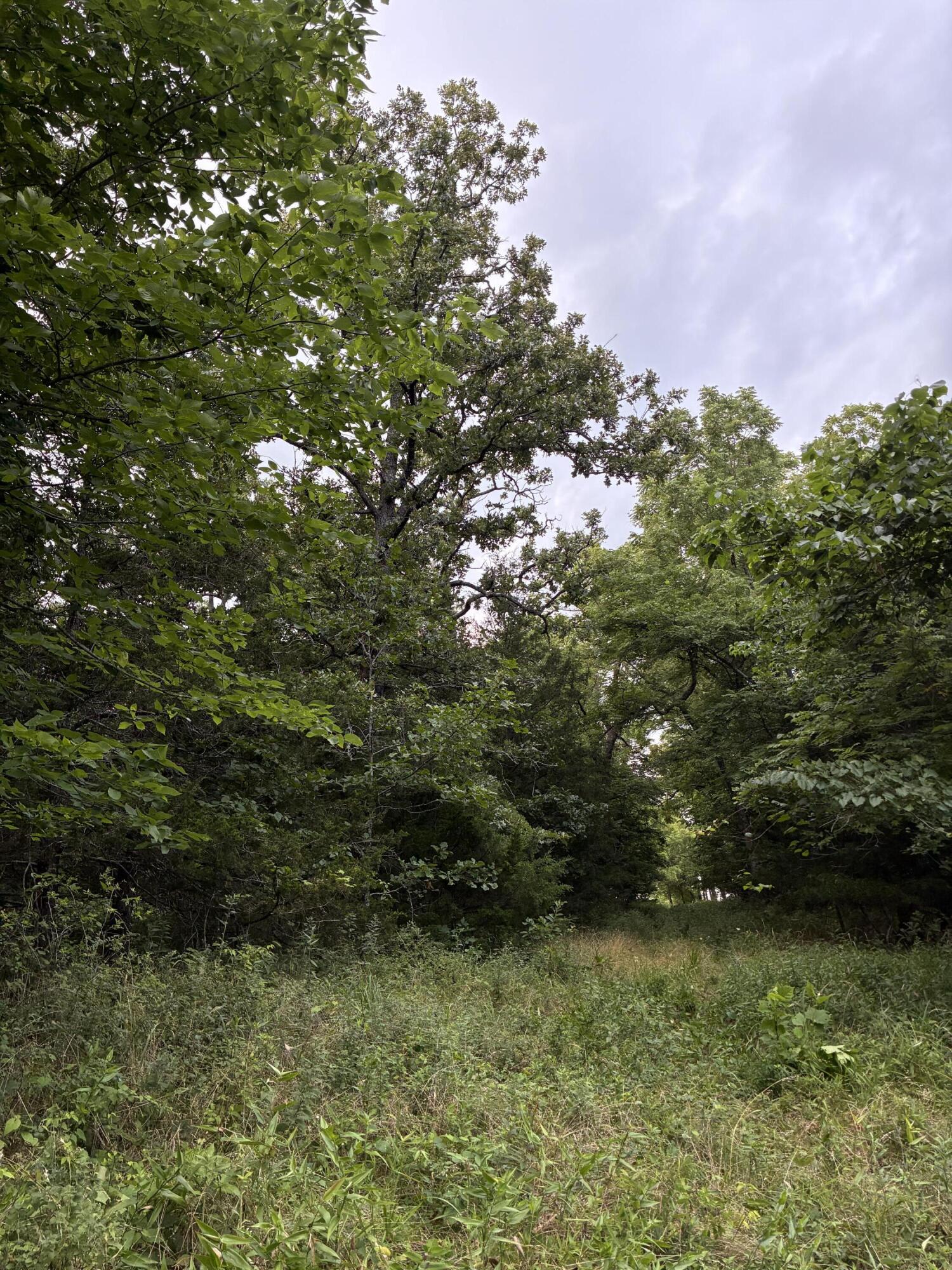 24896 State Highway 38 Property Photo 8