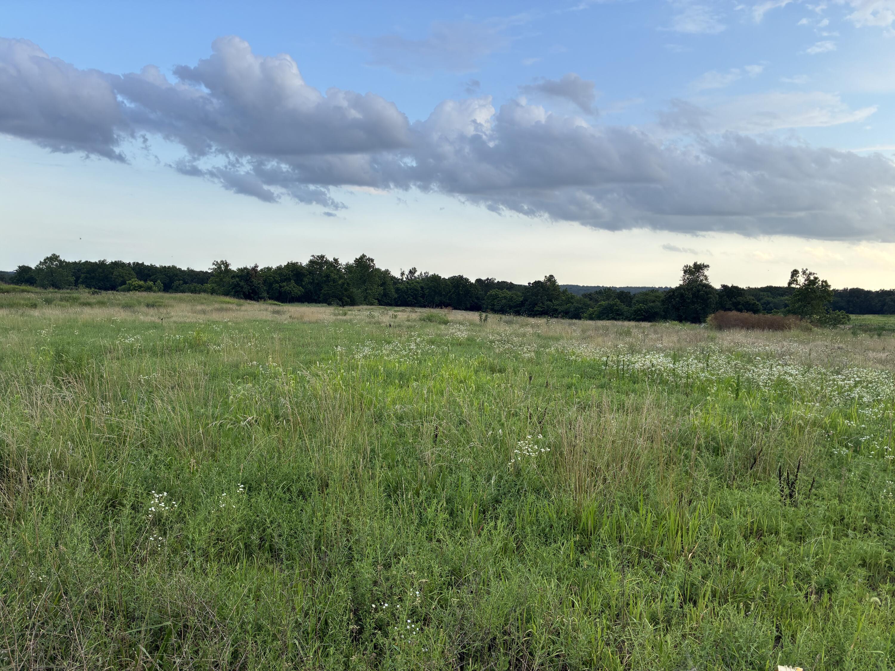 24896 State Highway 38 Property Photo 9