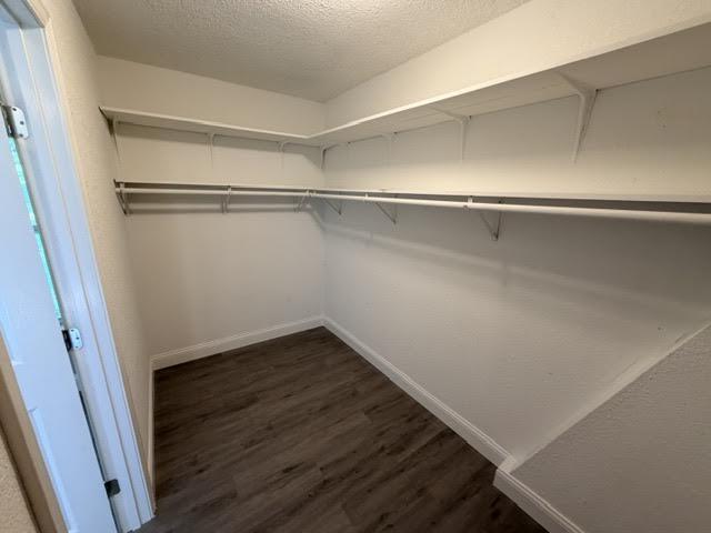 881 County Road 393 Property Photo 17