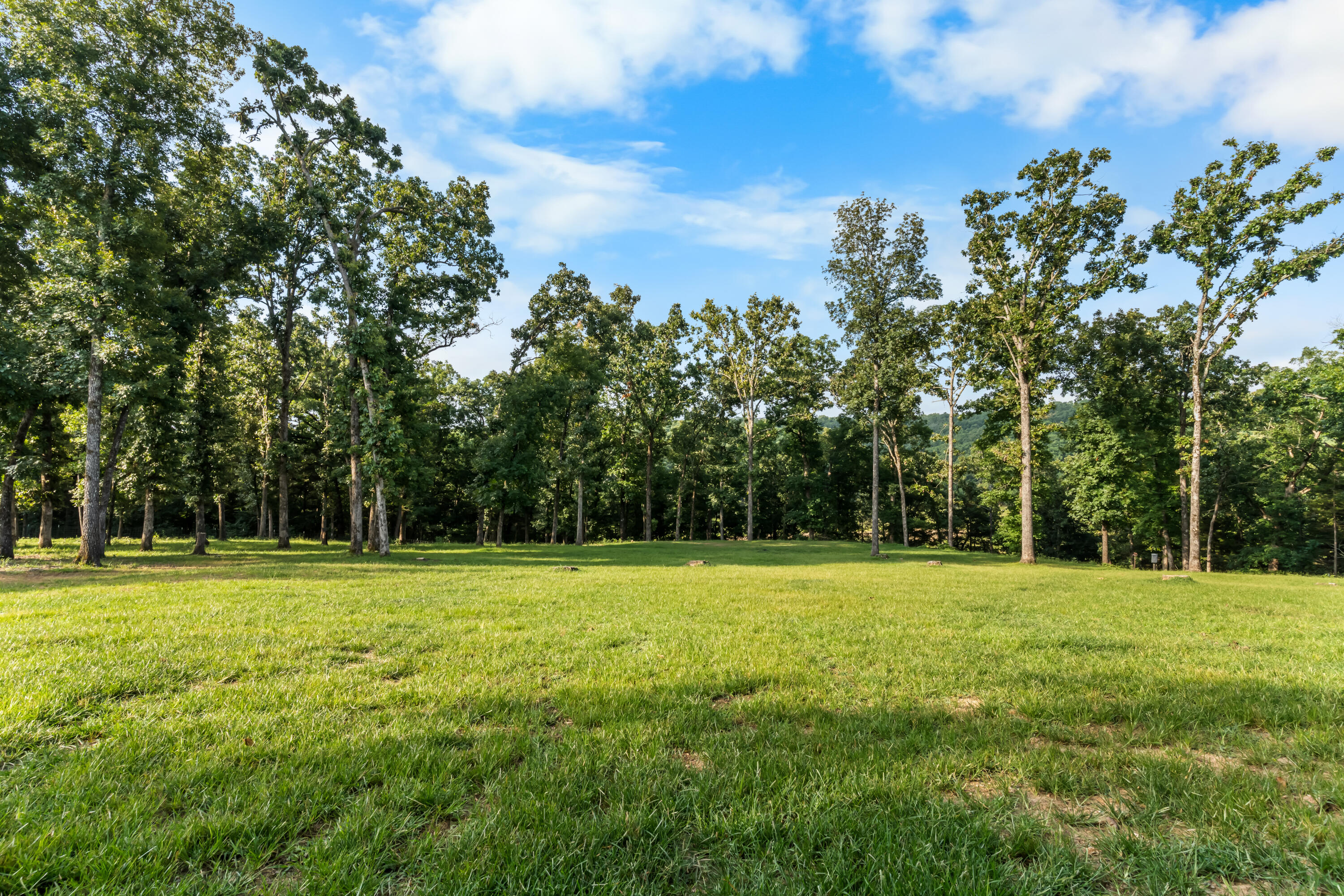 1132 Melody Mountain Road Property Photo 45