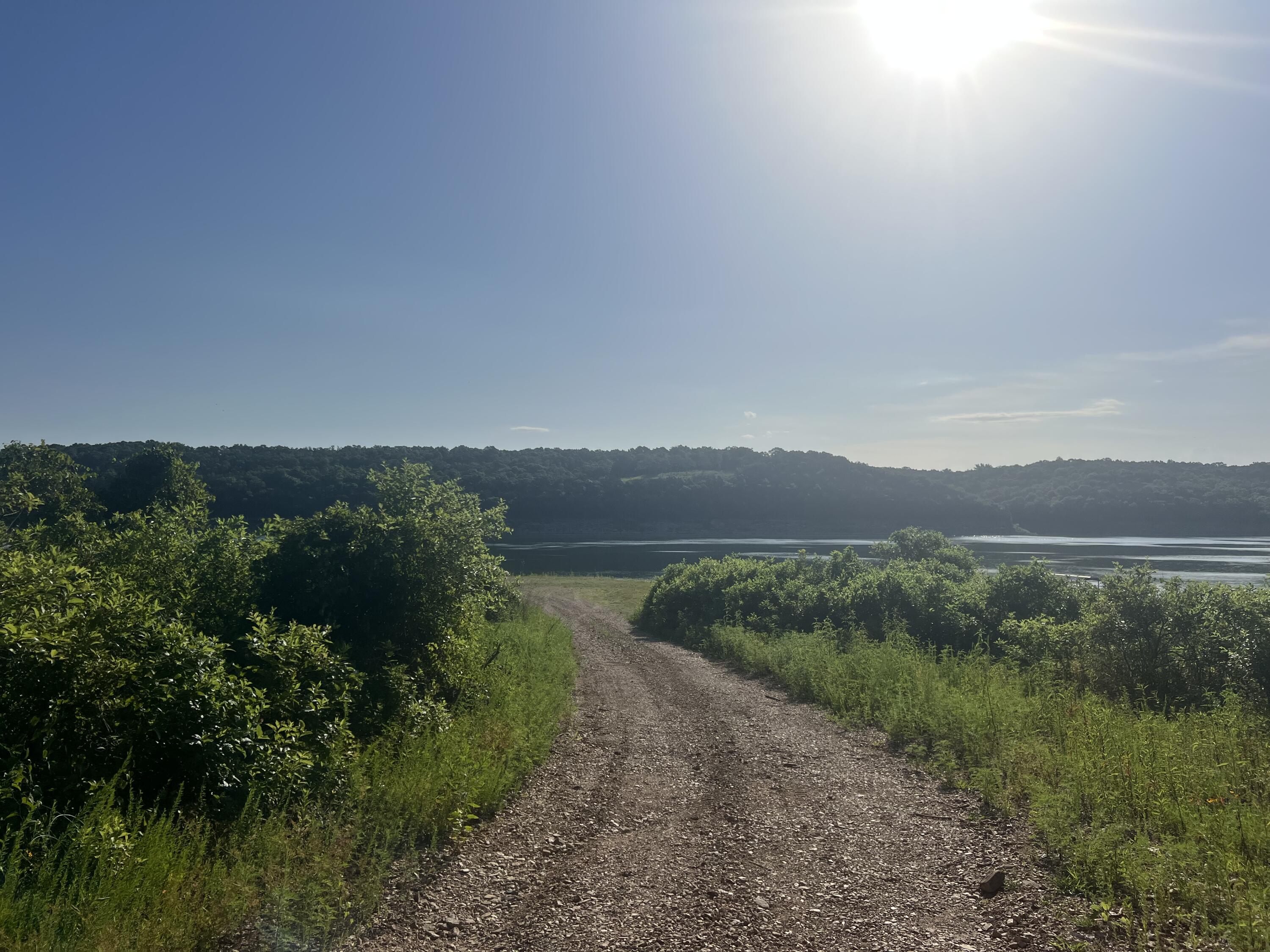 1132 Melody Mountain Road Property Photo 49
