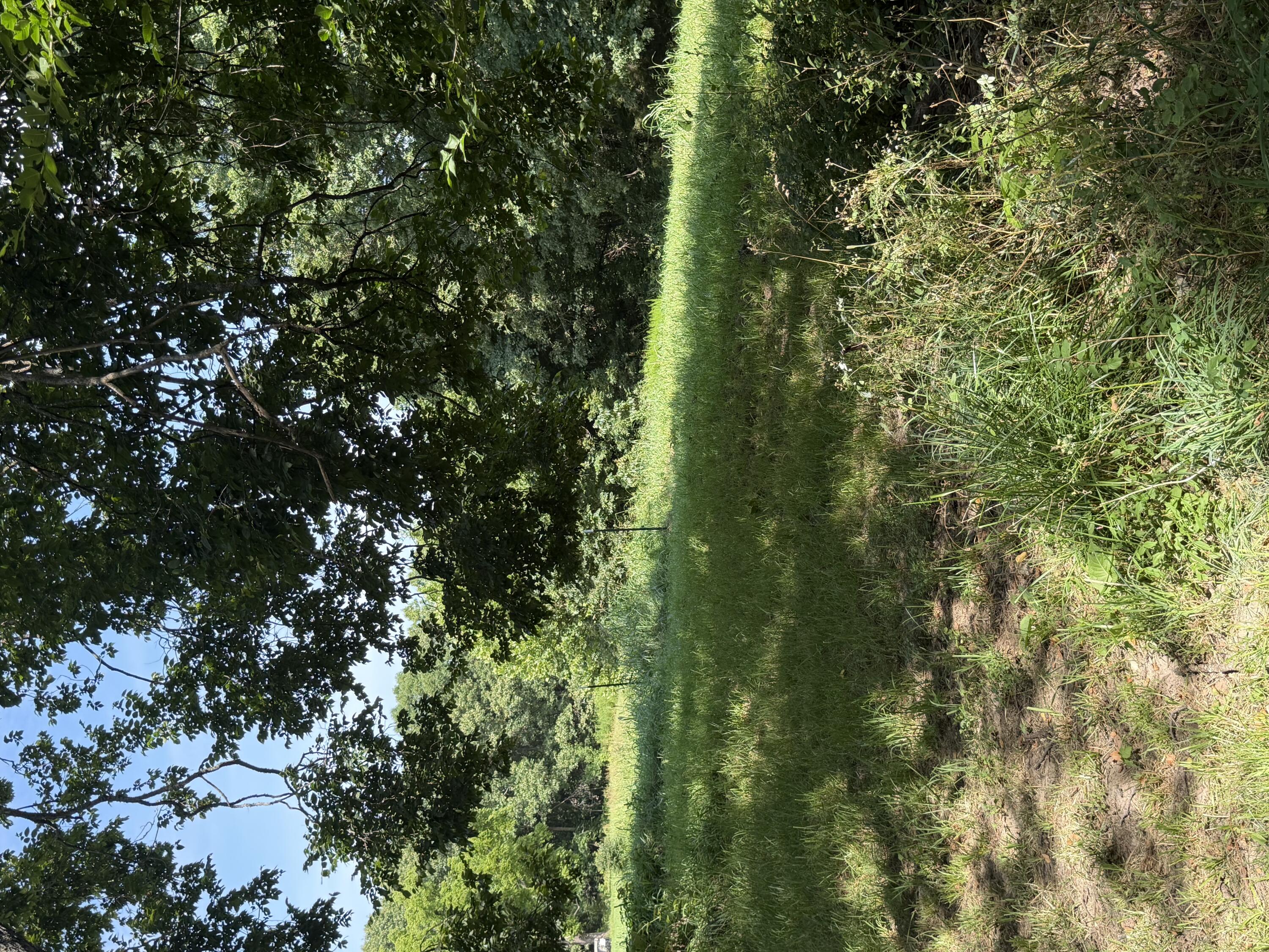207 Woodmist Road Property Photo 27