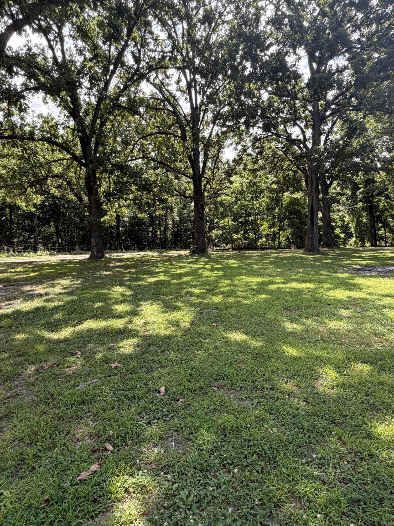 207 Woodmist Road Property Photo 28