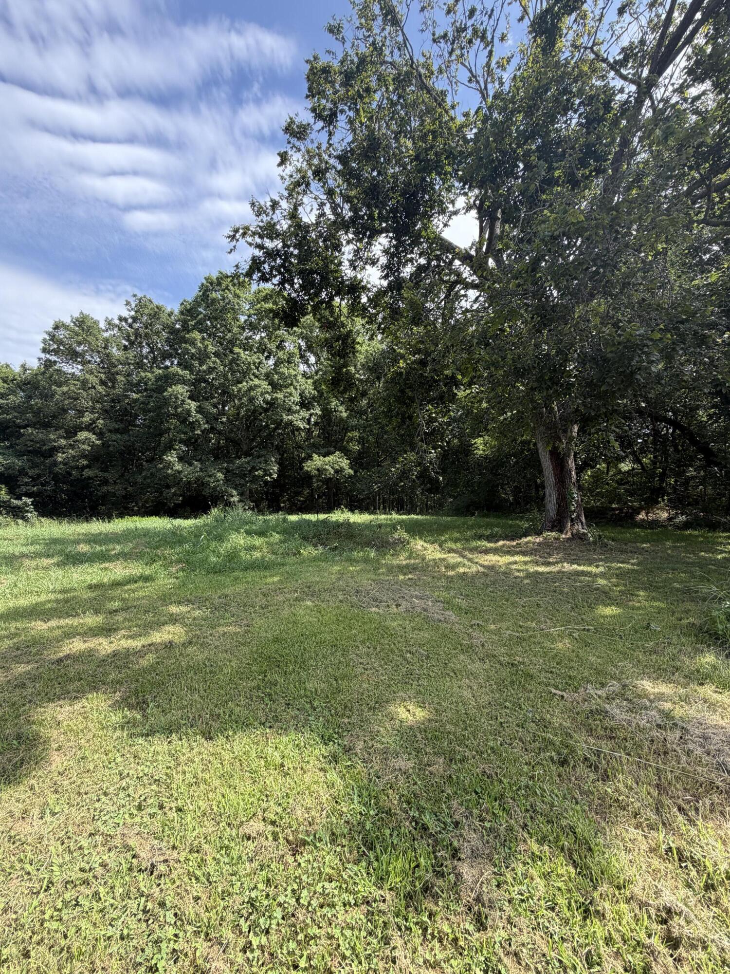 207 Woodmist Road Property Photo 32