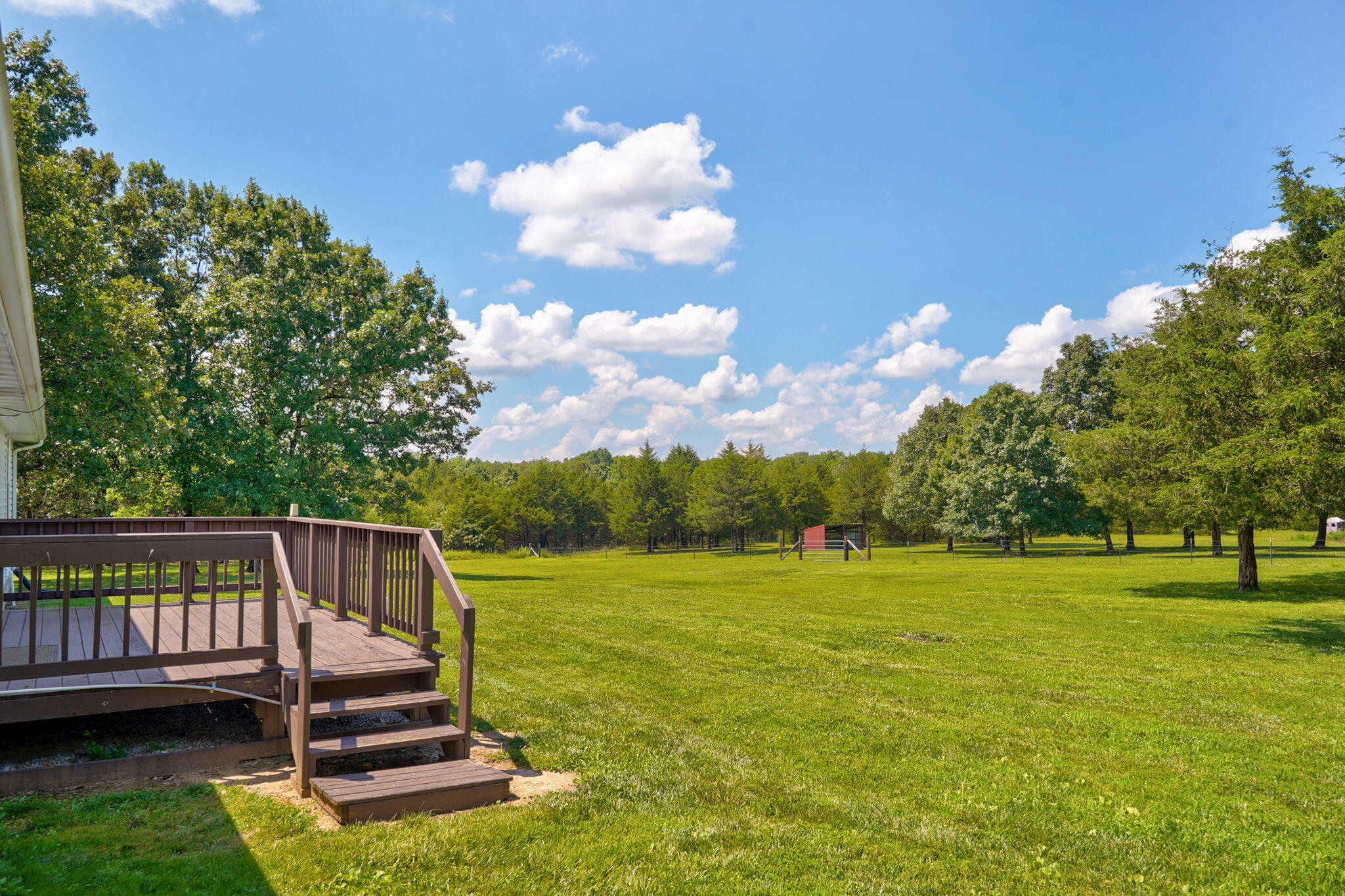 65 Big Tree Trail Property Photo 30