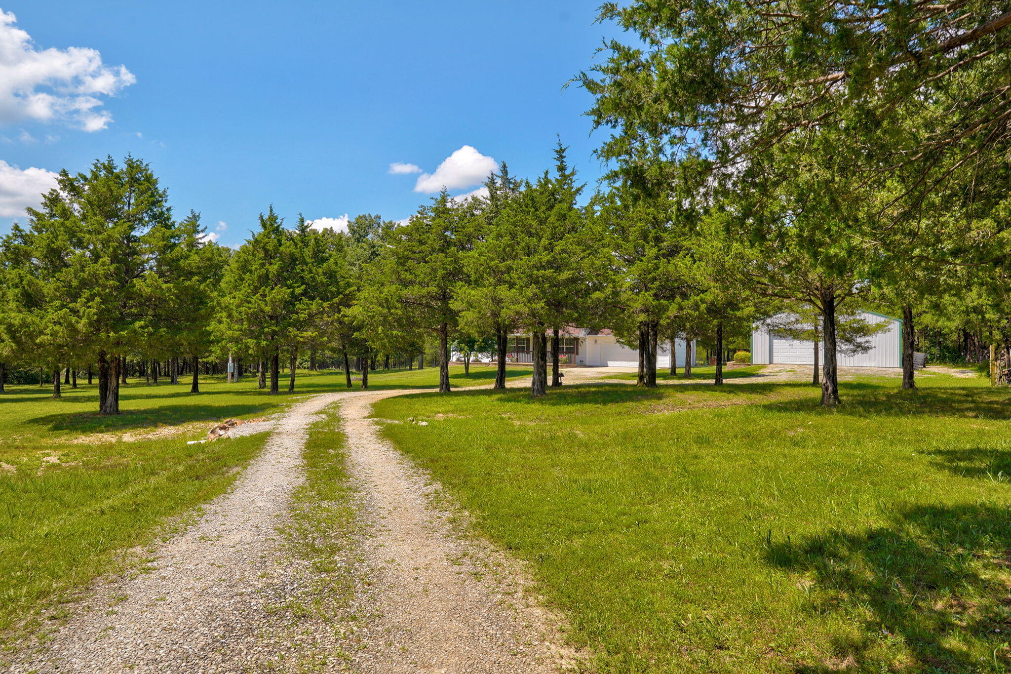 65 Big Tree Trail Property Photo 31