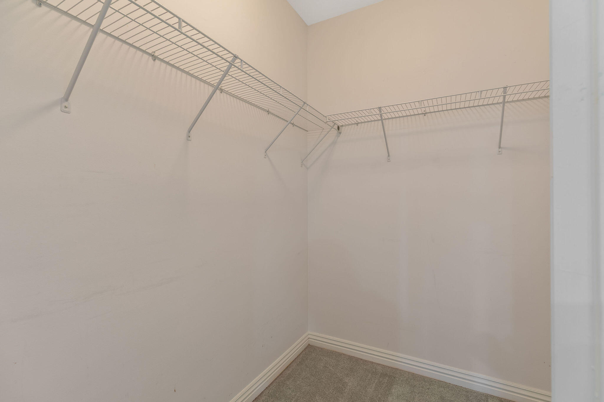 111 Oxford Court 3 Property Photo 18
