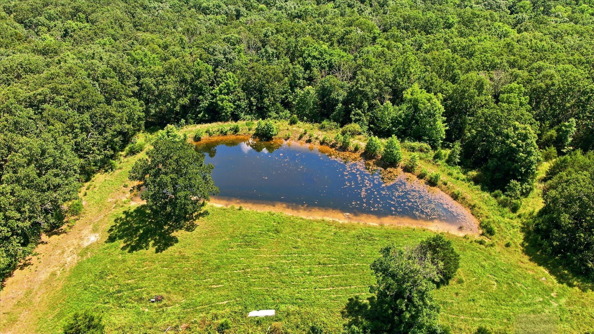 184 State Rte E Property Photo 12