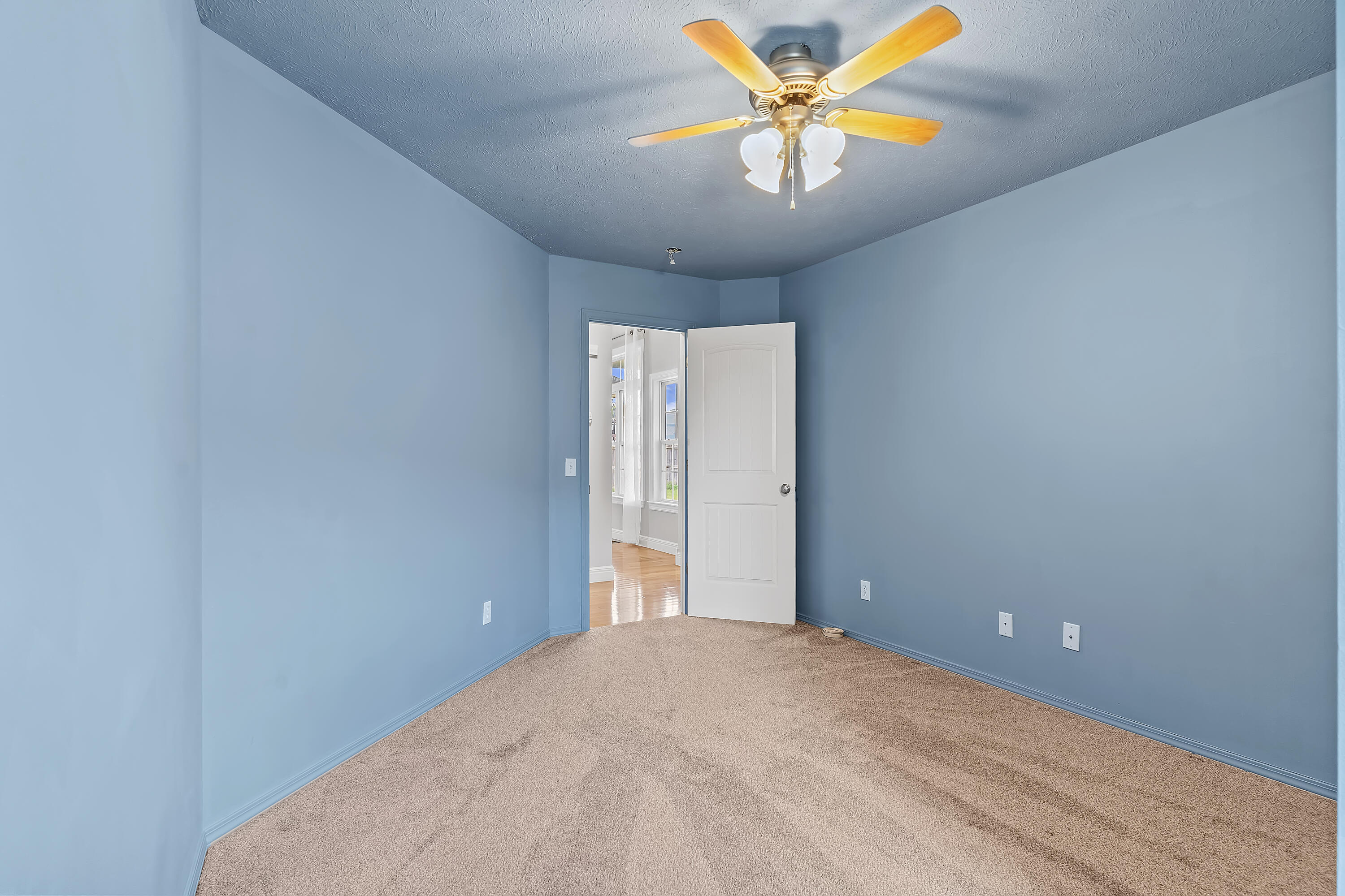 716 Shelley Street Property Photo 24