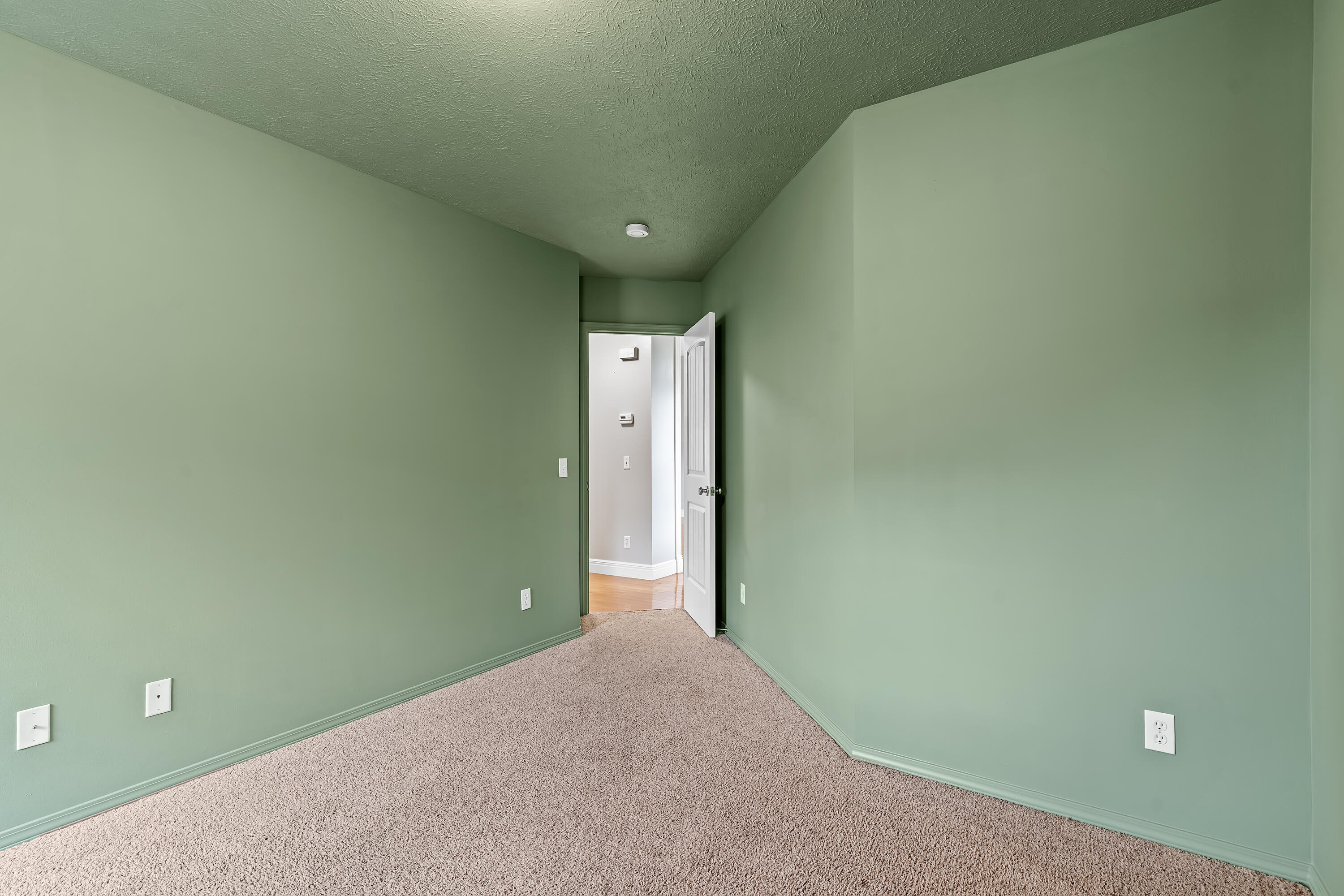 716 Shelley Street Property Photo 27