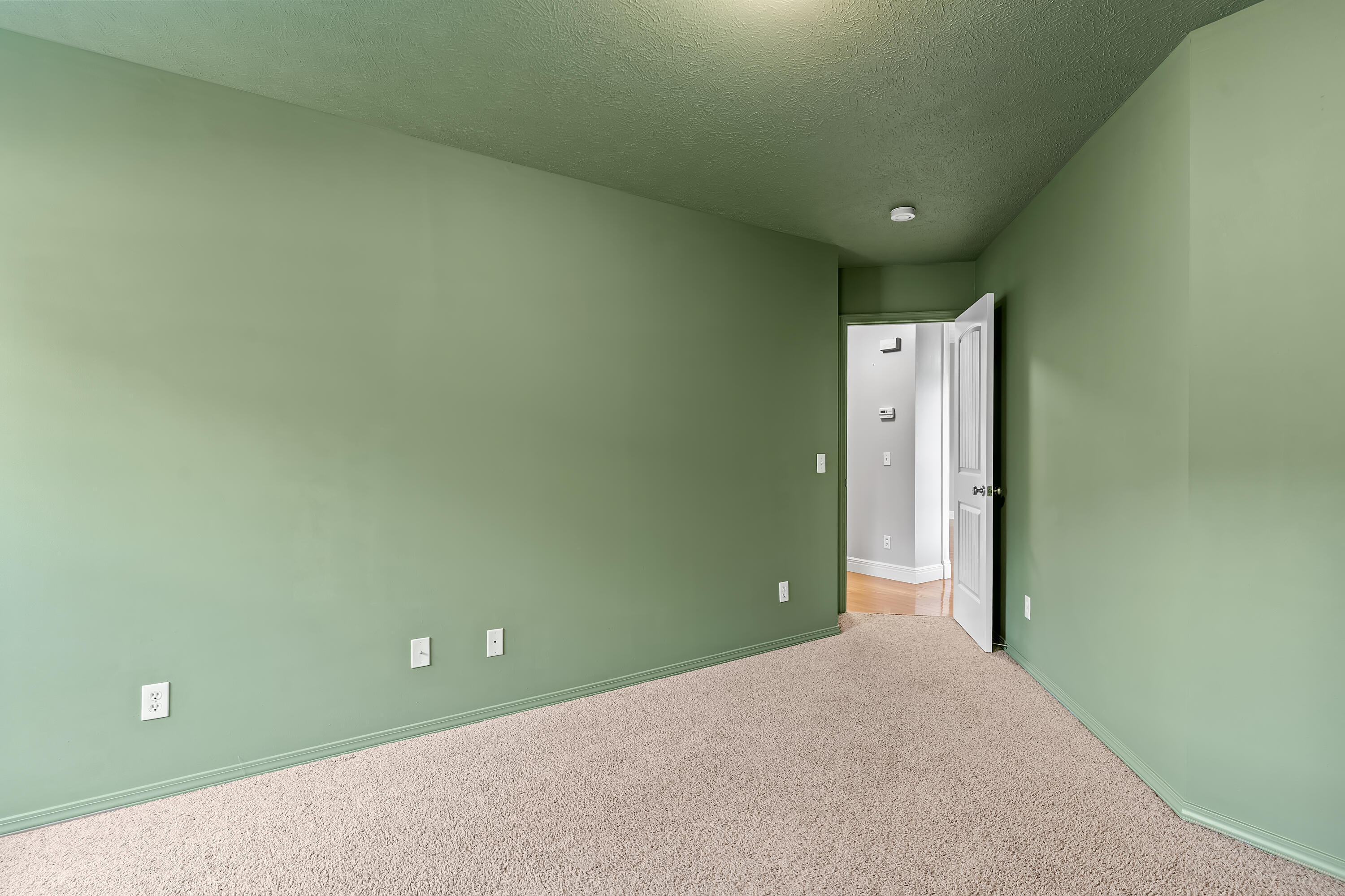716 Shelley Street Property Photo 28