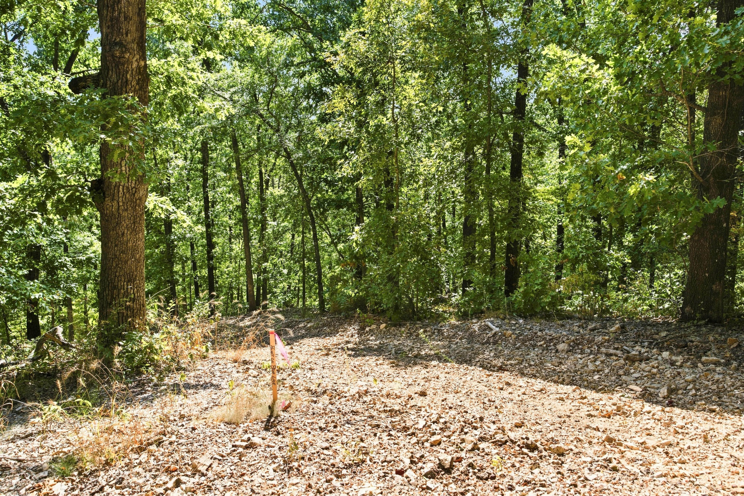 743 Eternity Lane Property Photo 49