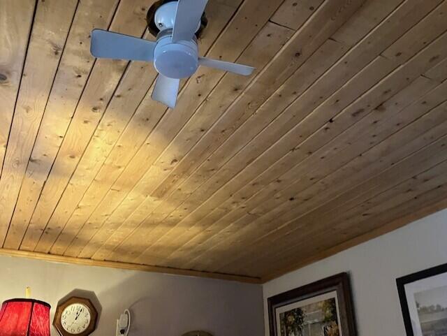 209 South Rush Street Property Photo 19
