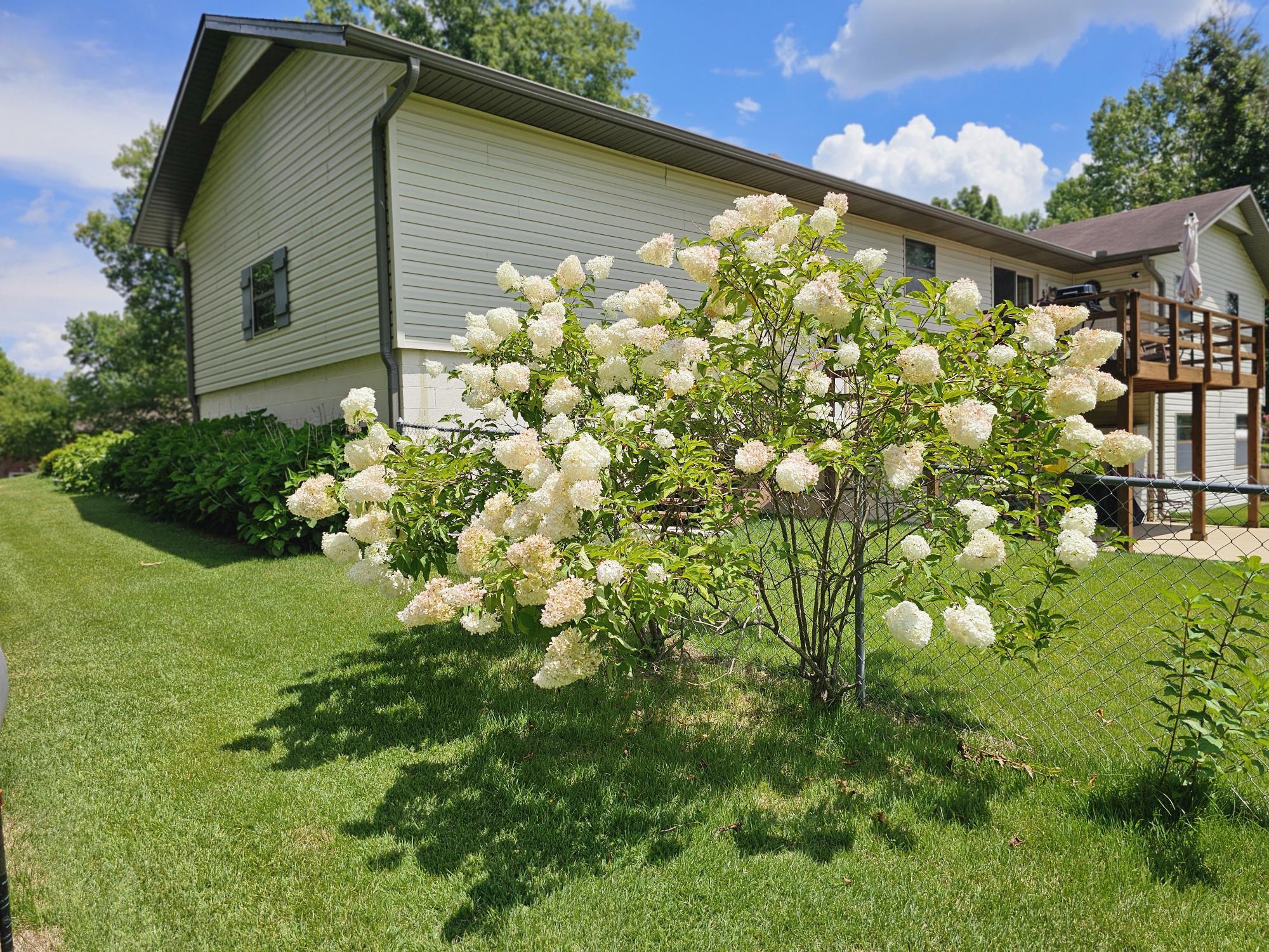 119 Vancil Street Property Photo 49