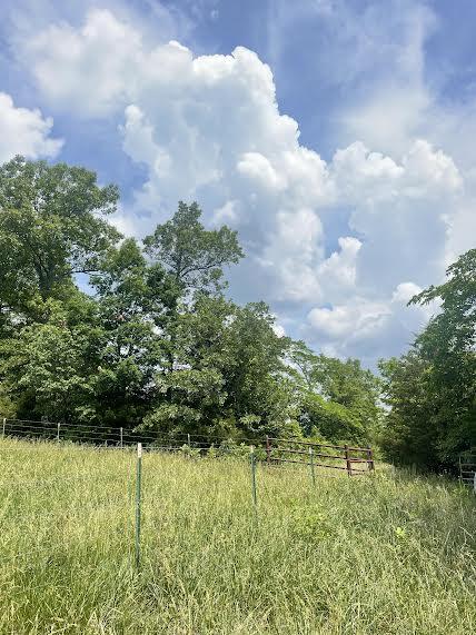 000 Co Rd 304 Property Photo 4