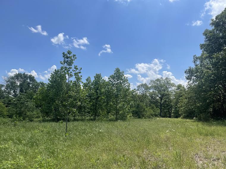 000 Co Rd 304 Property Photo 13