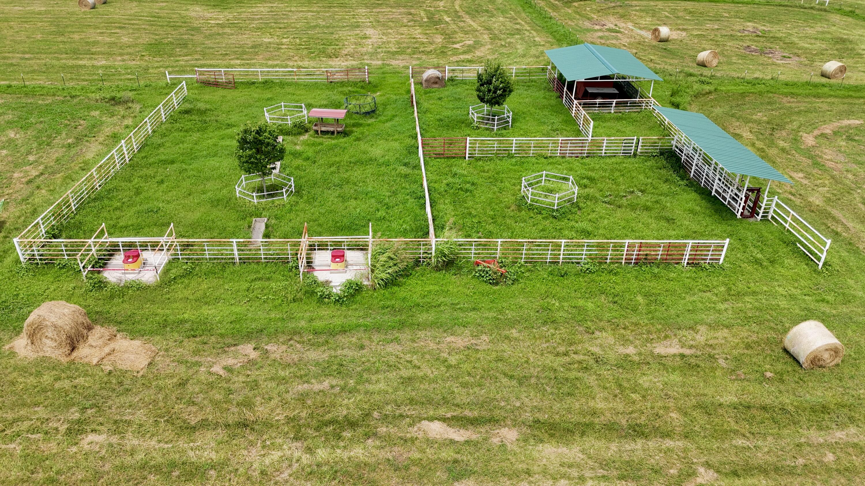 Tbd Farm Road 1070 Property Photo 10
