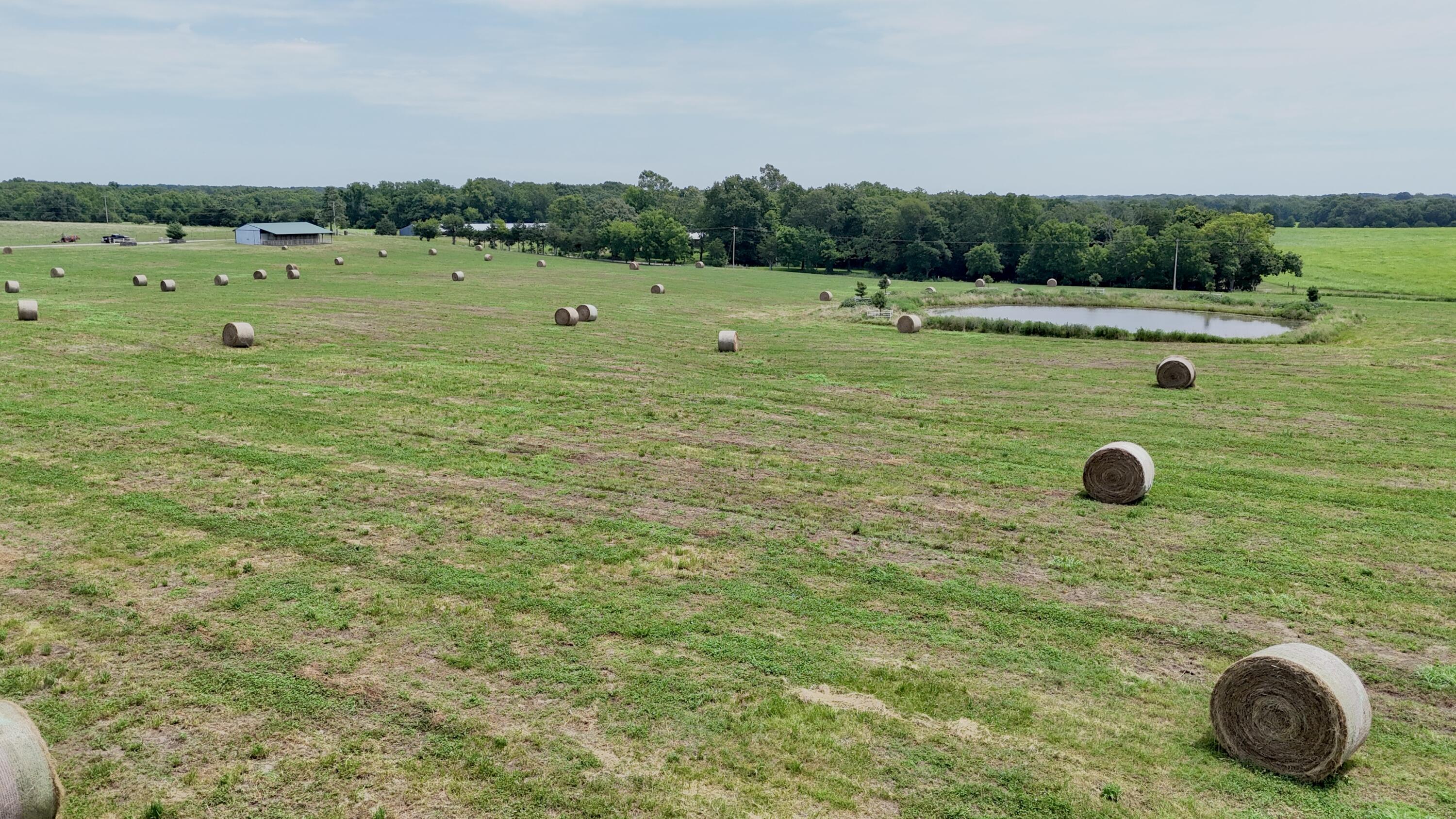 Tbd Farm Road 1070 Property Photo 13
