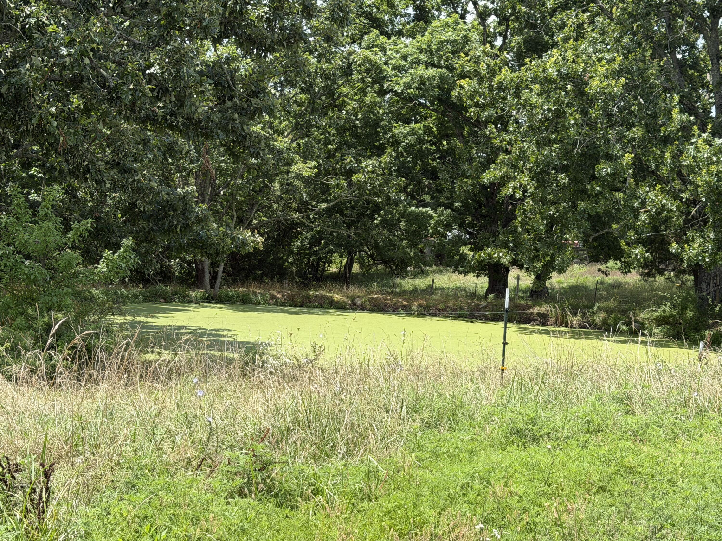 0000 County Road 105 Property Photo 3