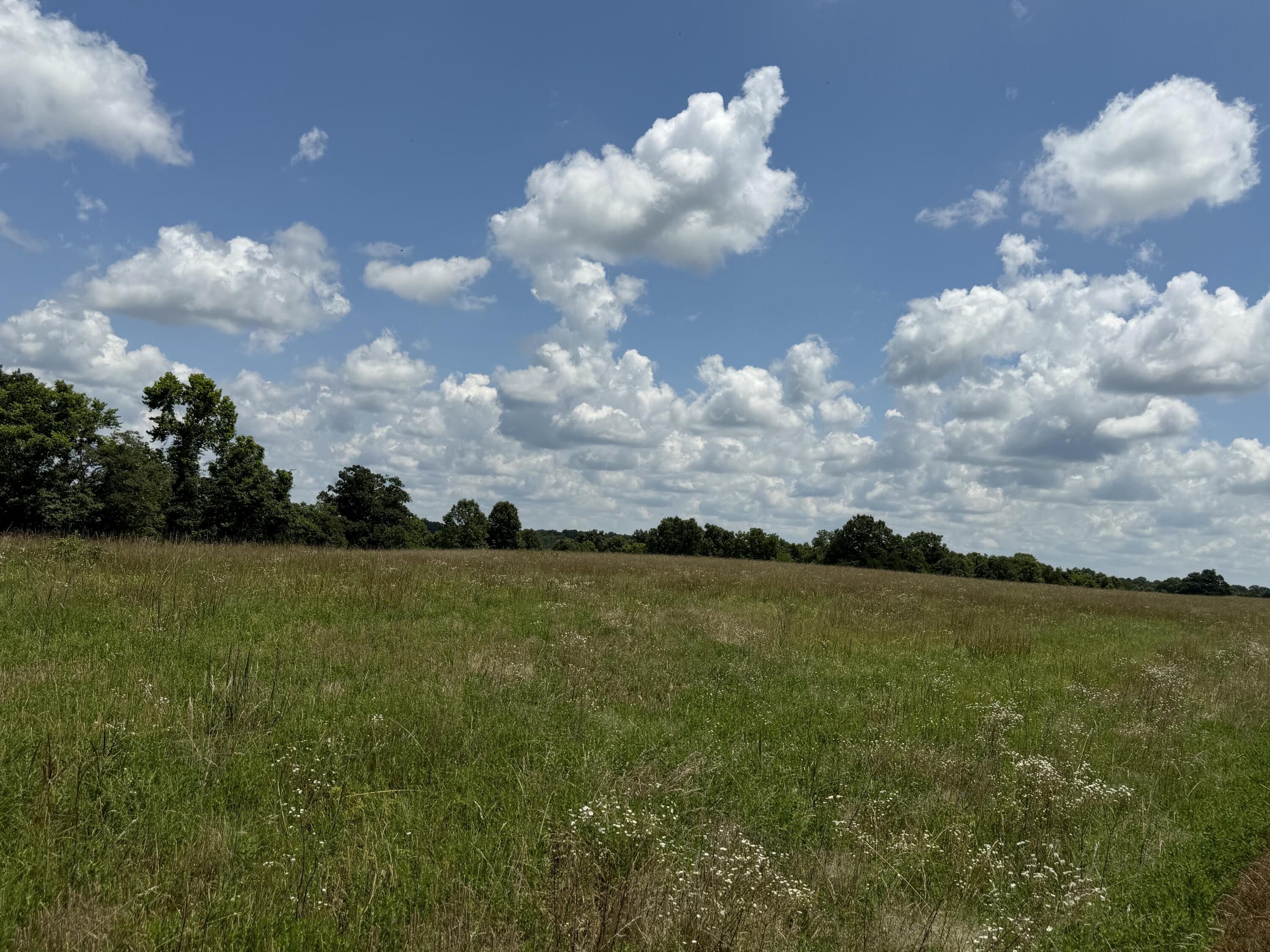 0000 County Road 105 Property Photo 4