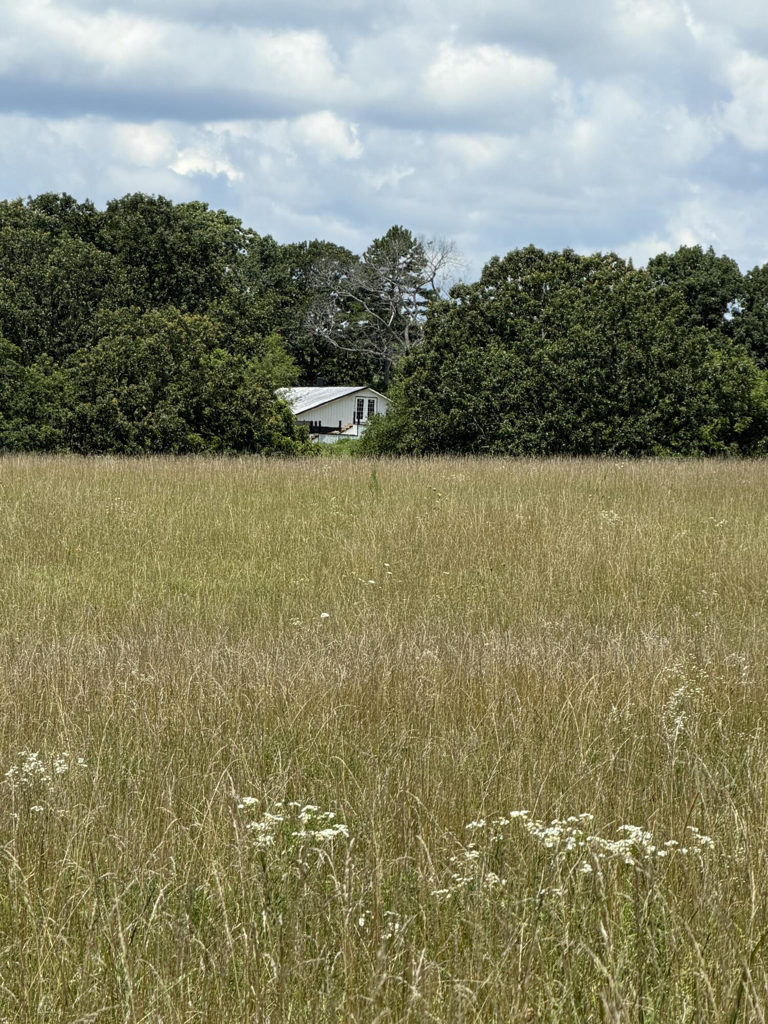 0000 County Road 105 Property Photo 5
