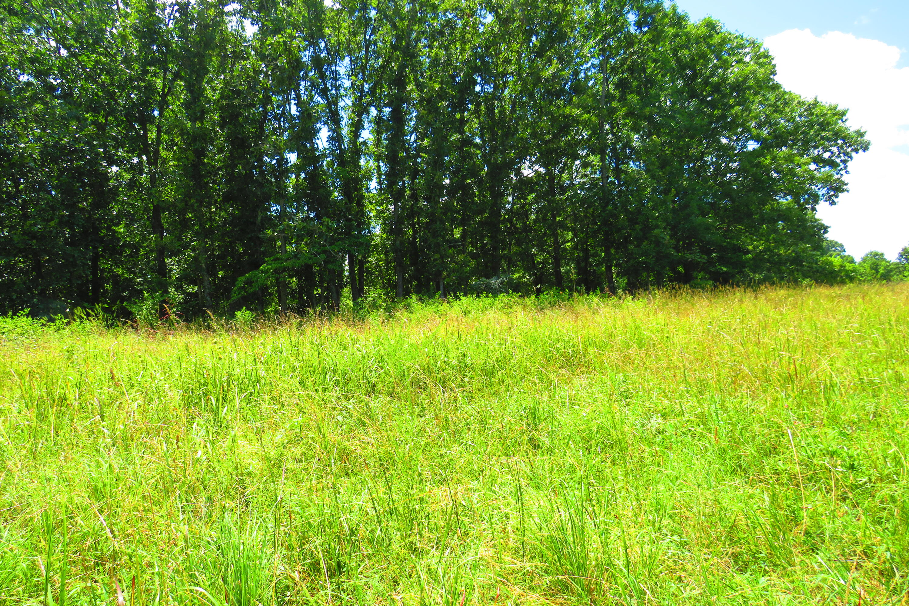 0000 County Road 105 Property Photo 9