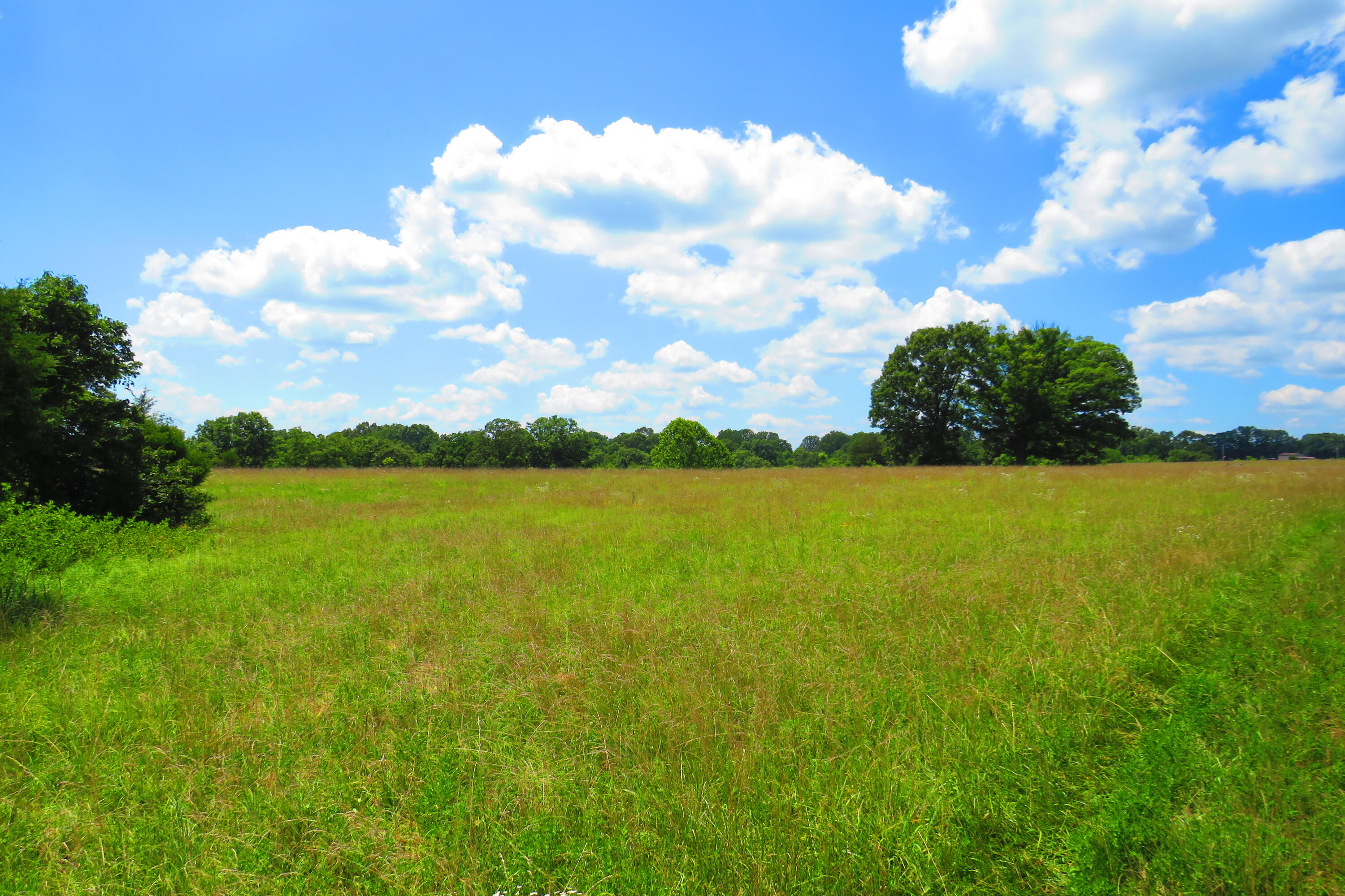 0000 County Road 105 Property Photo 10