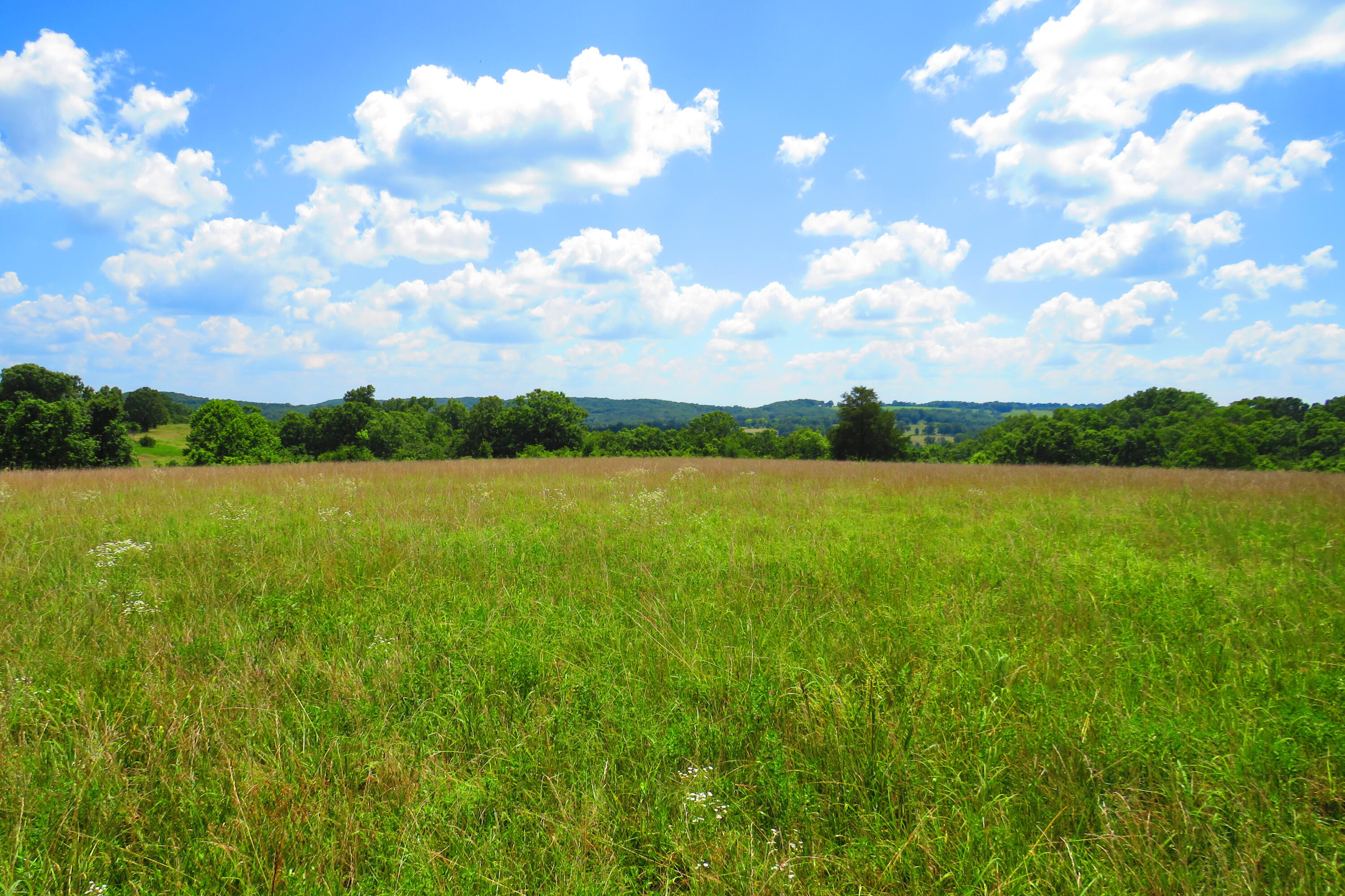 0000 County Road 105 Property Photo 15