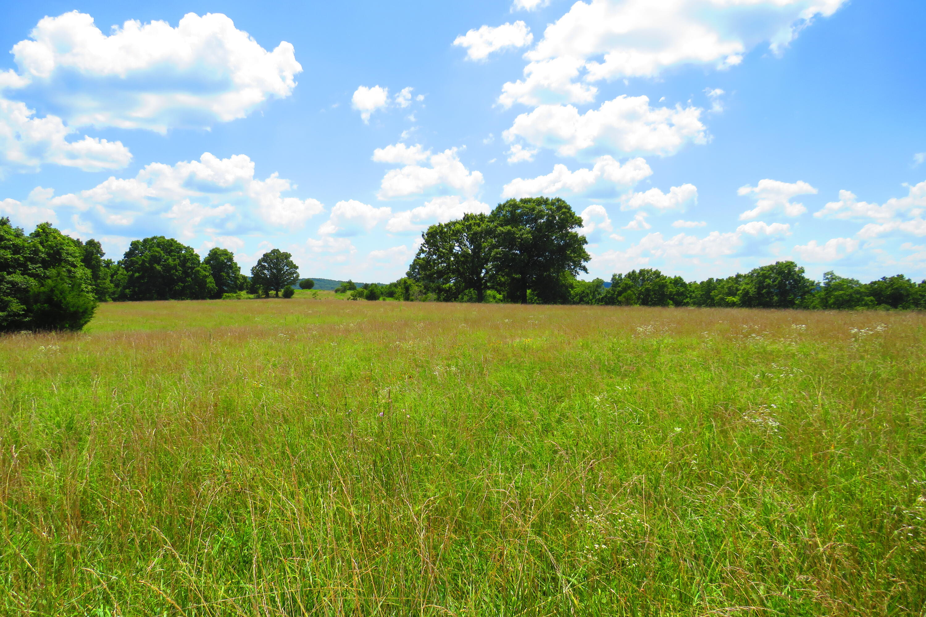 0000 County Road 105 Property Photo 16