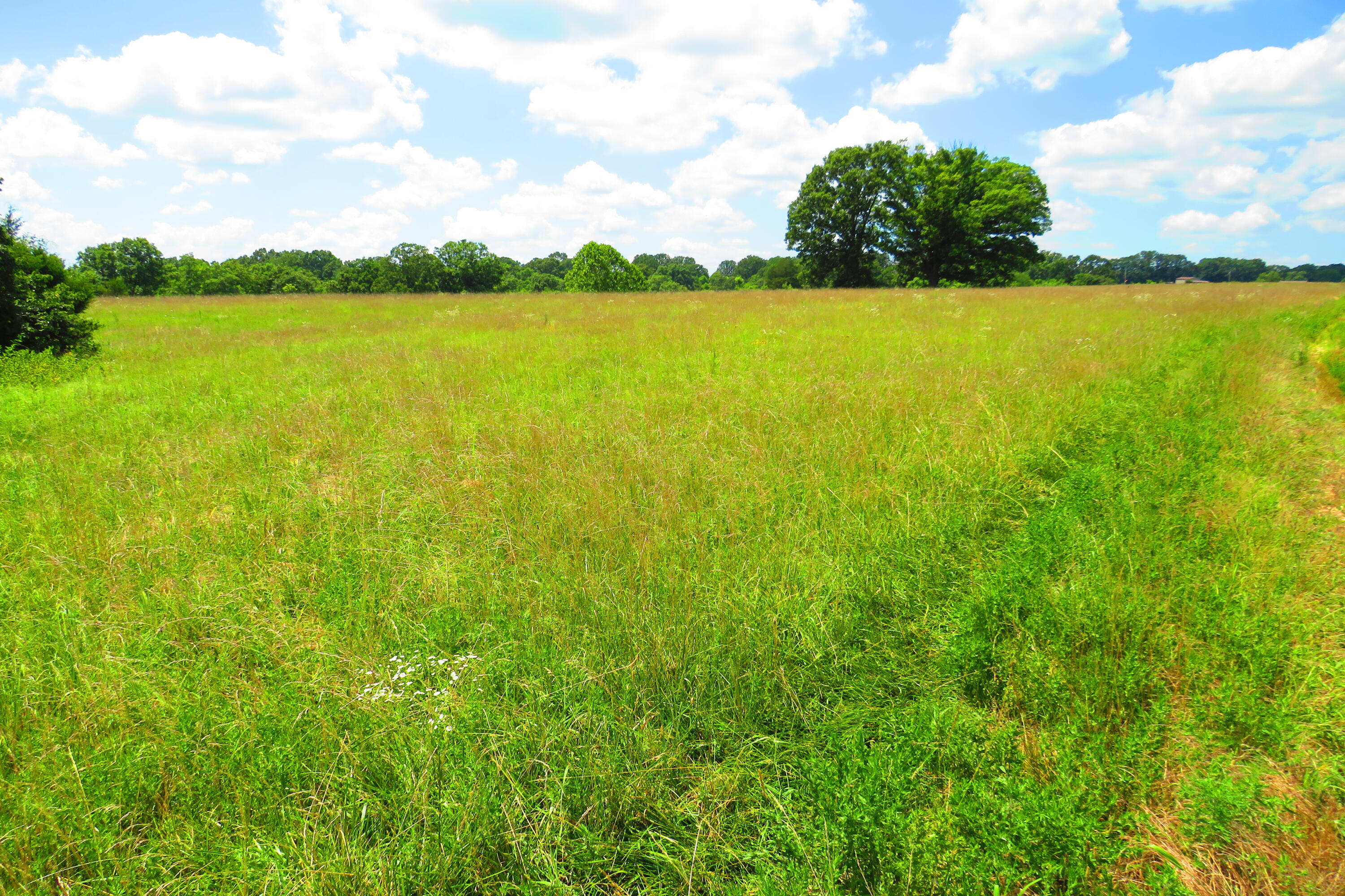 0000 County Road 105 Property Photo 17