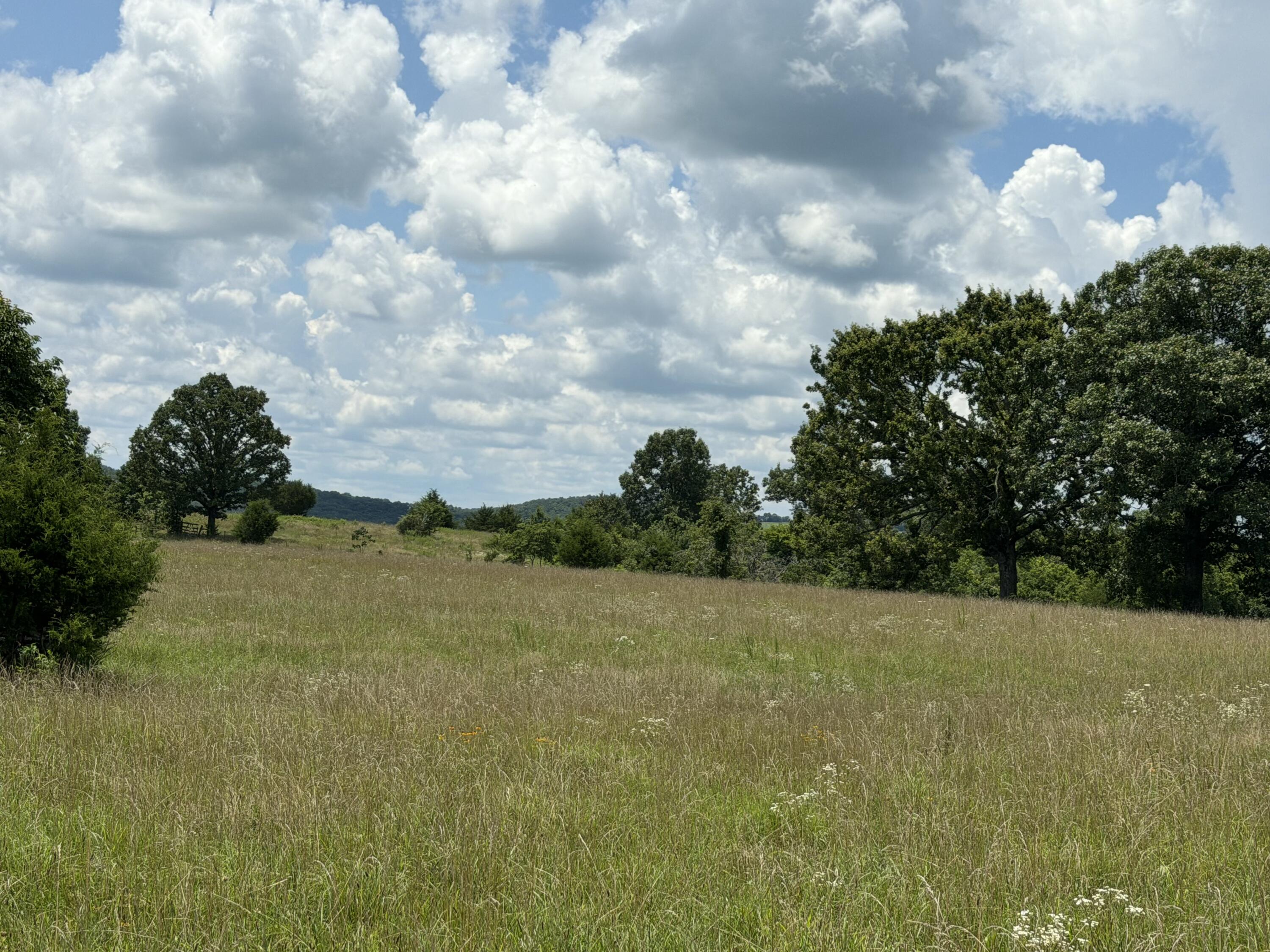 0000 County Road 105 Property Photo 49