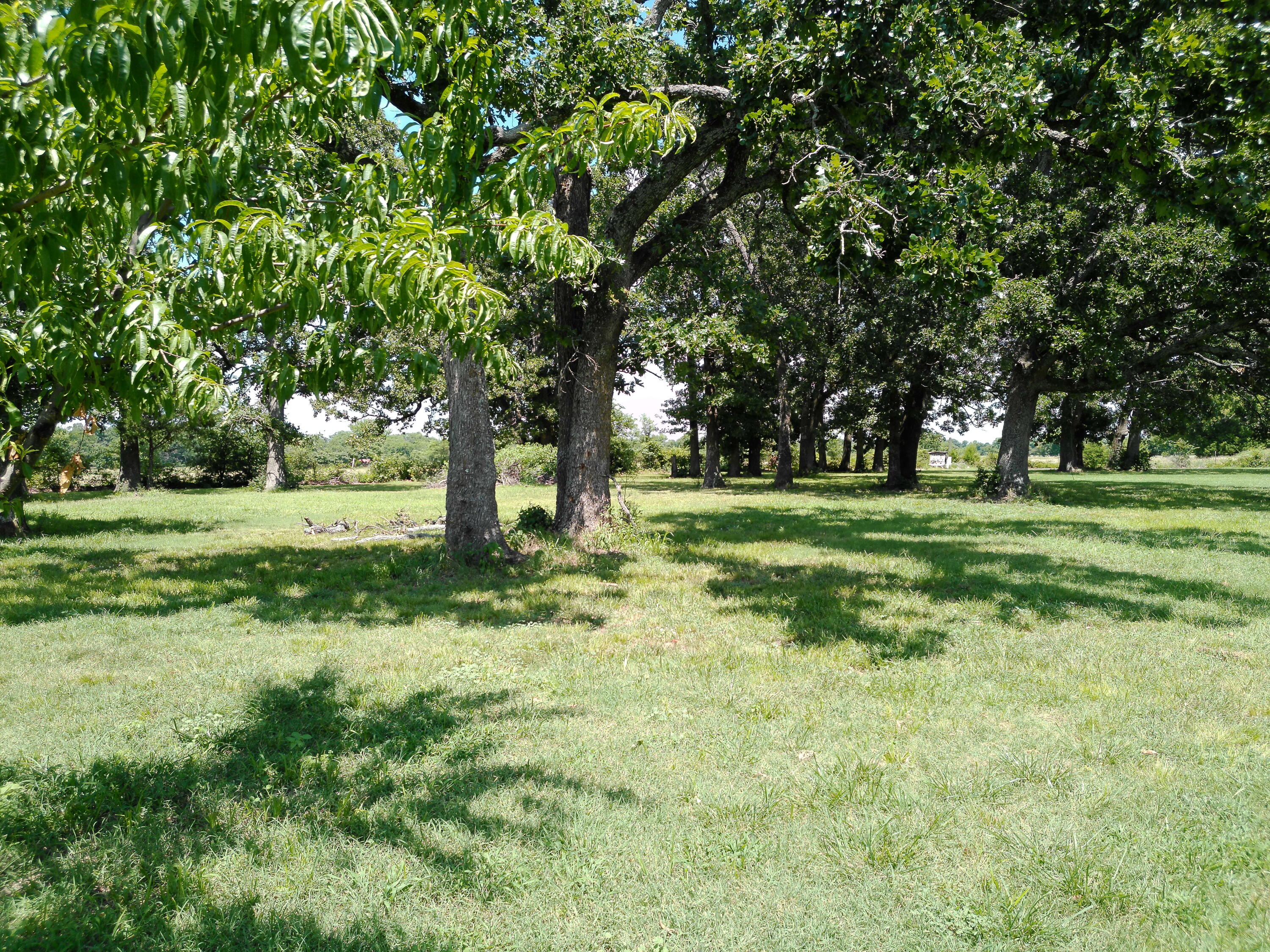 21263 Sunset View Lane Property Photo 20
